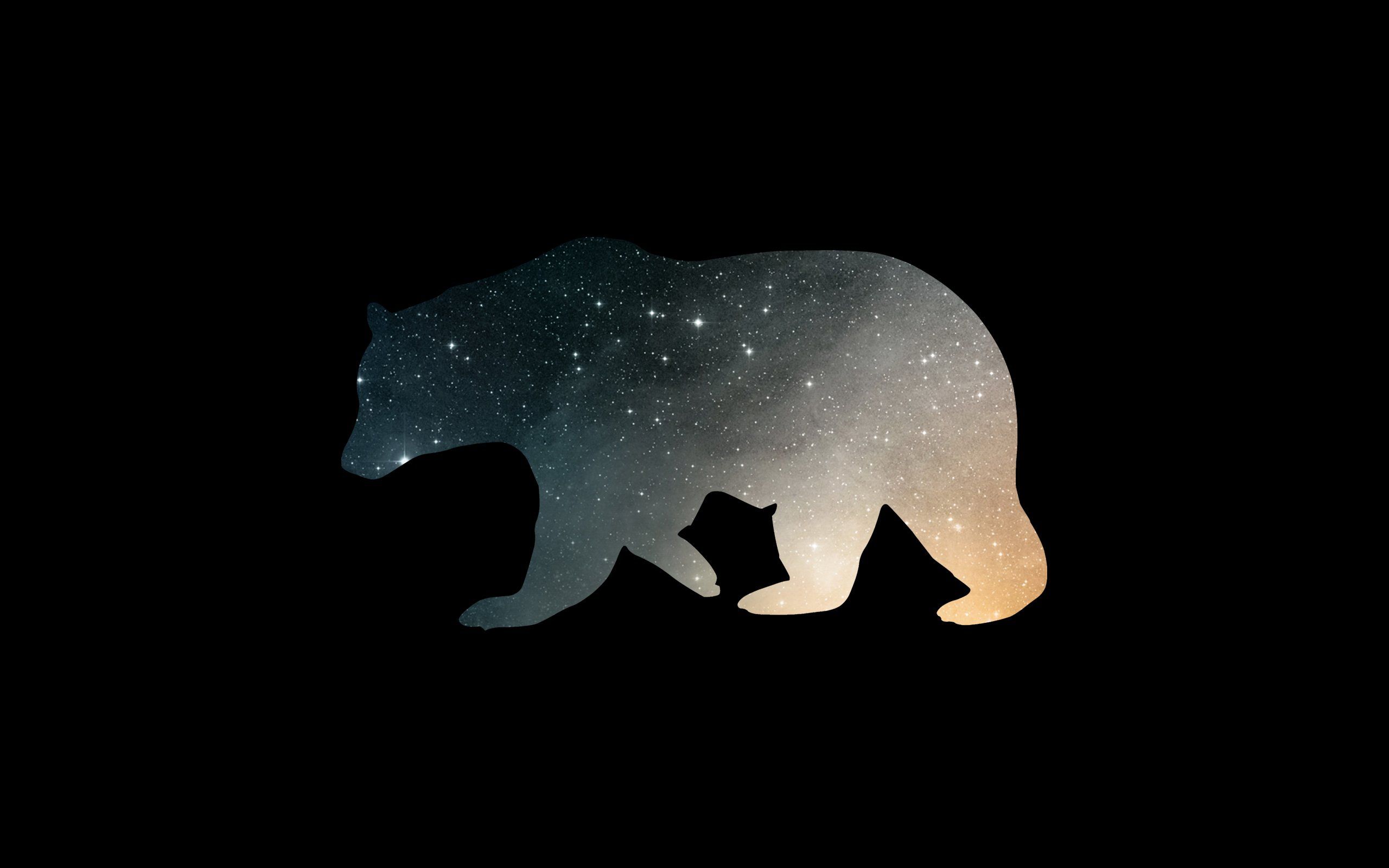 4K Bear Wallpapers