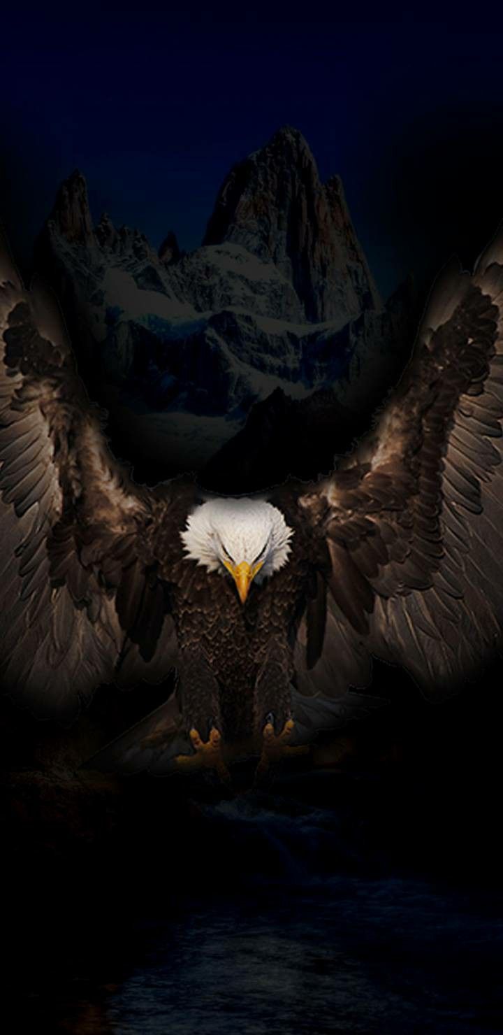 4K Eagle Wallpapers