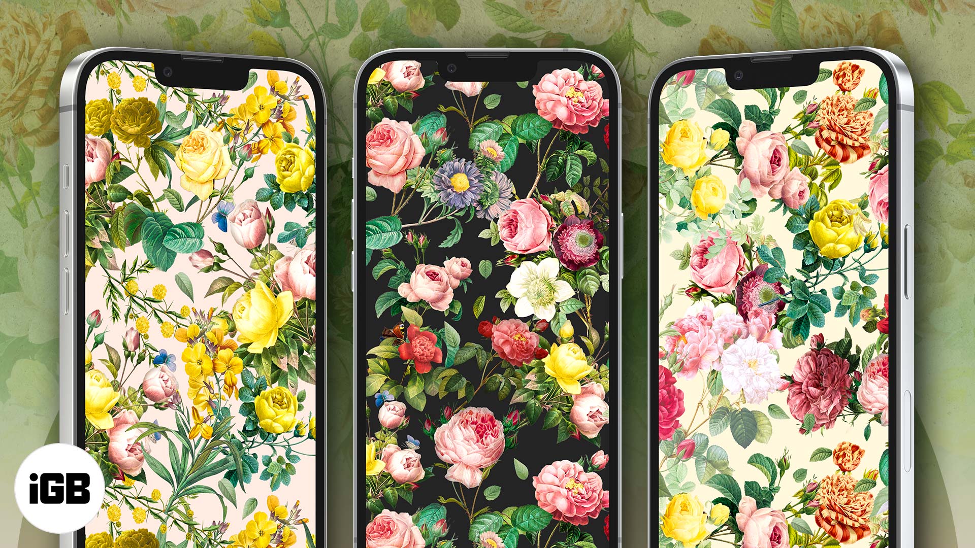 4K Flower Iphone X Wallpapers