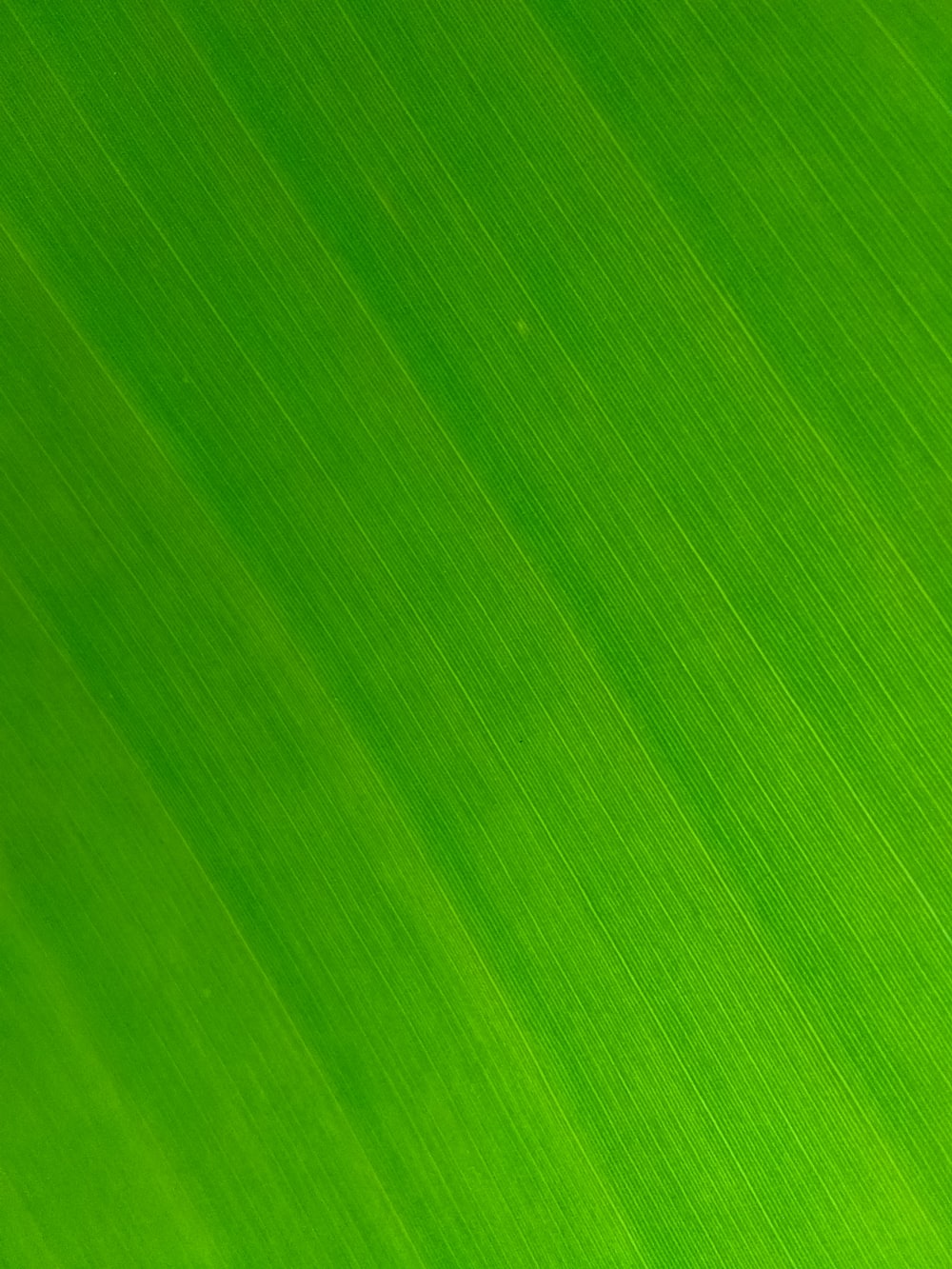 4K Green Wallpapers