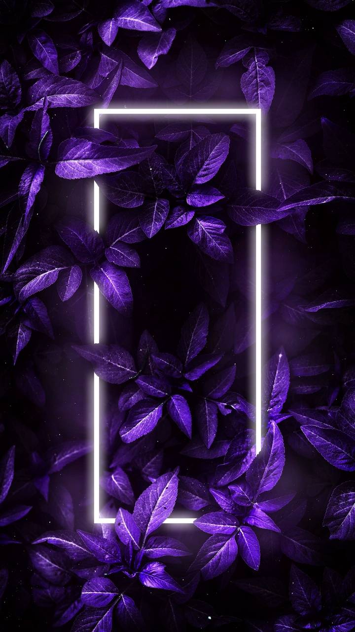 4K Neon Iphone Wallpapers