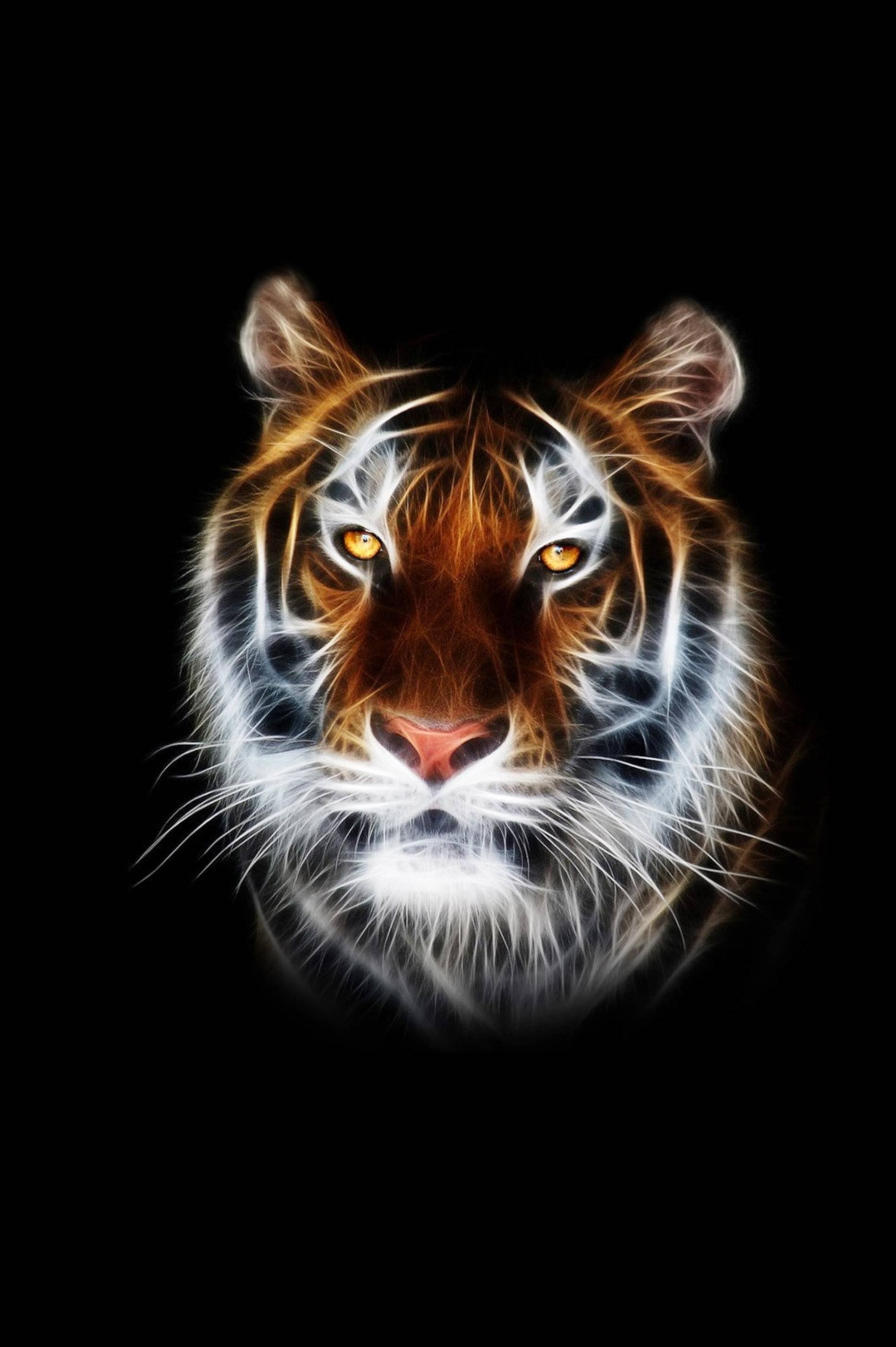 4K Tiger Wallpapers