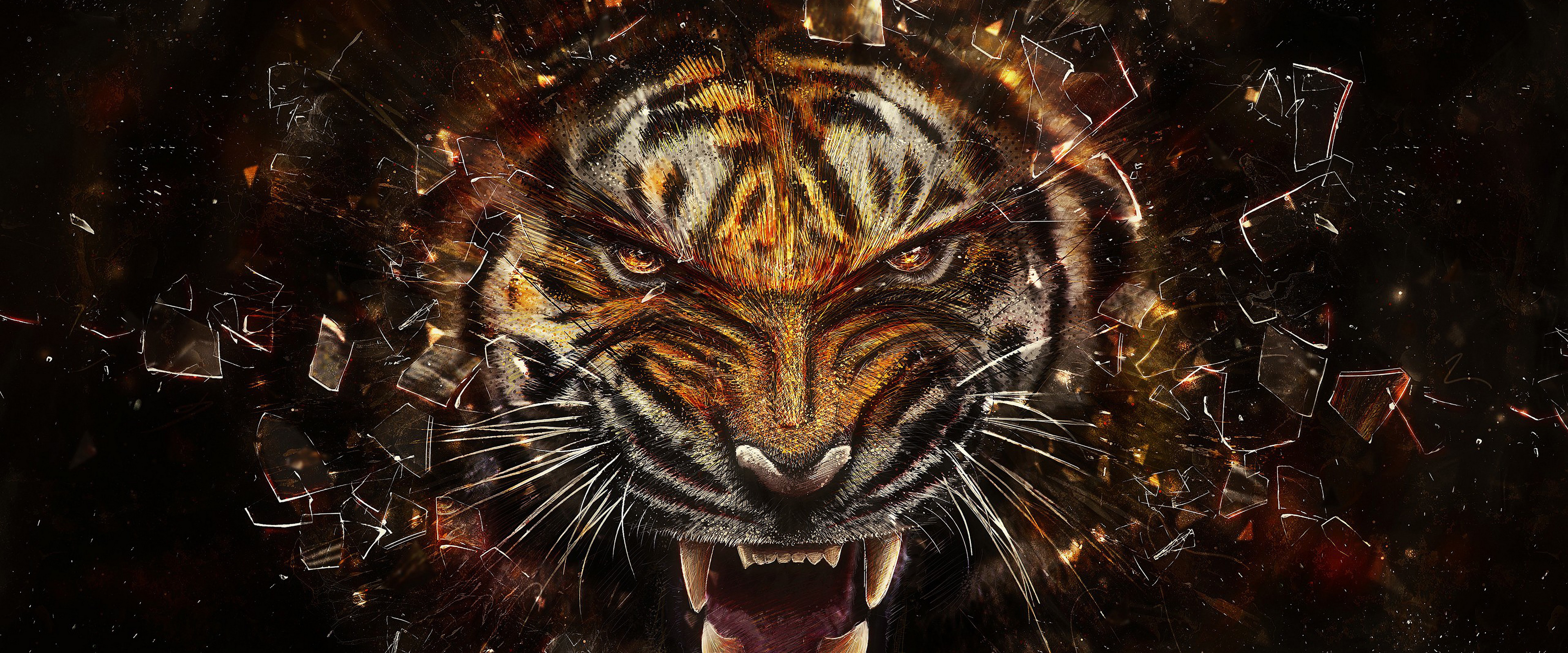 4K Tiger Wallpapers