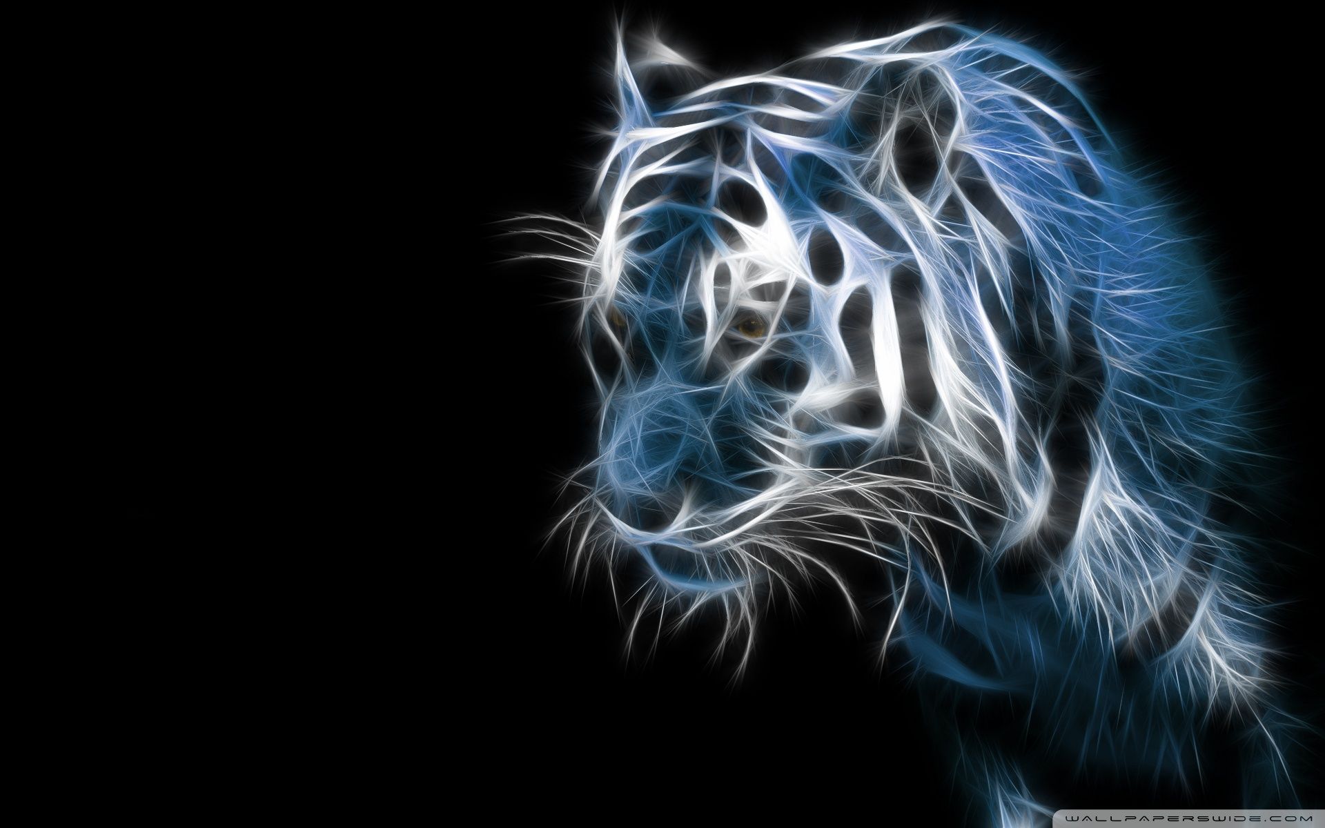 4K Tiger Wallpapers