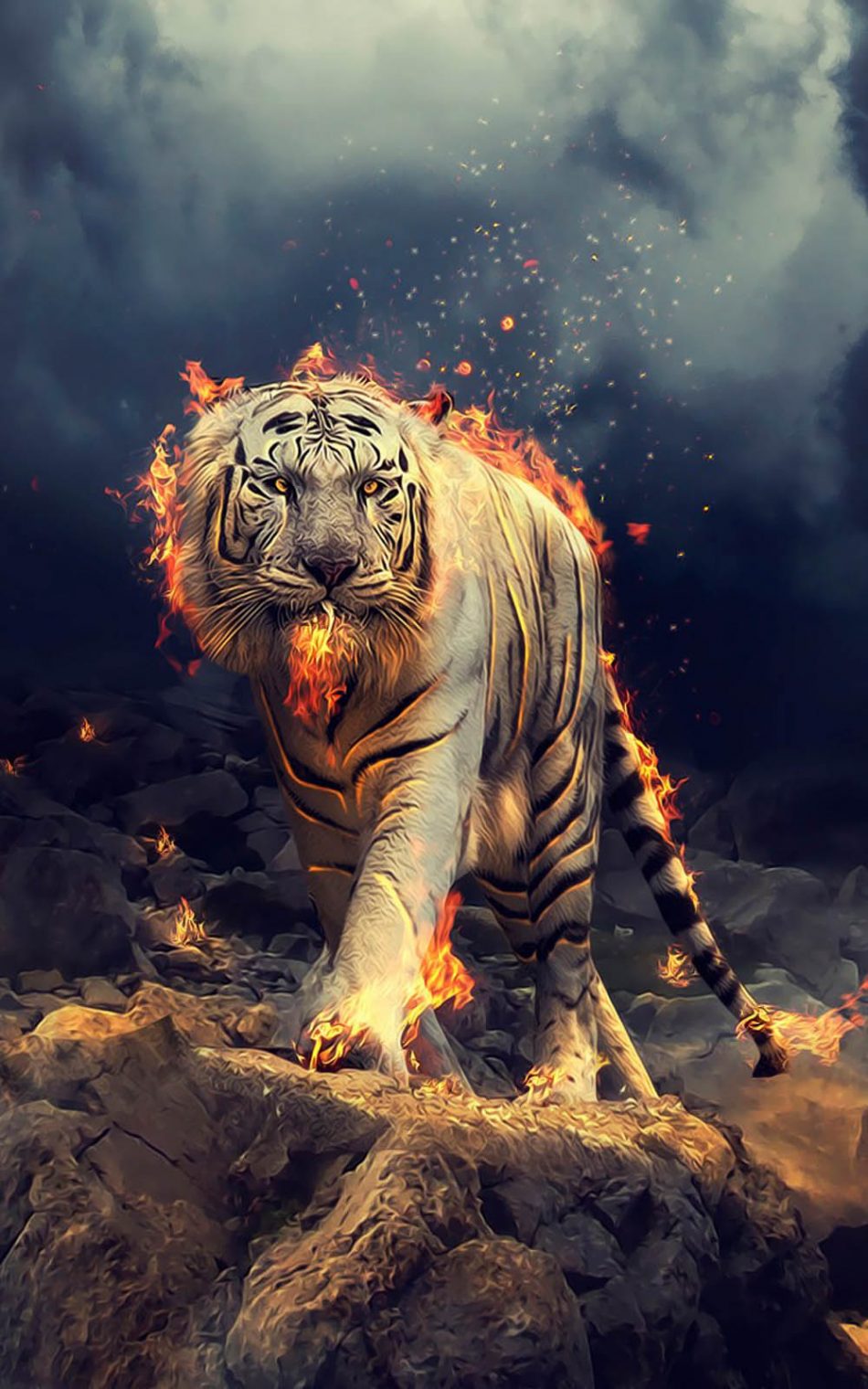 4K Tiger Wallpapers