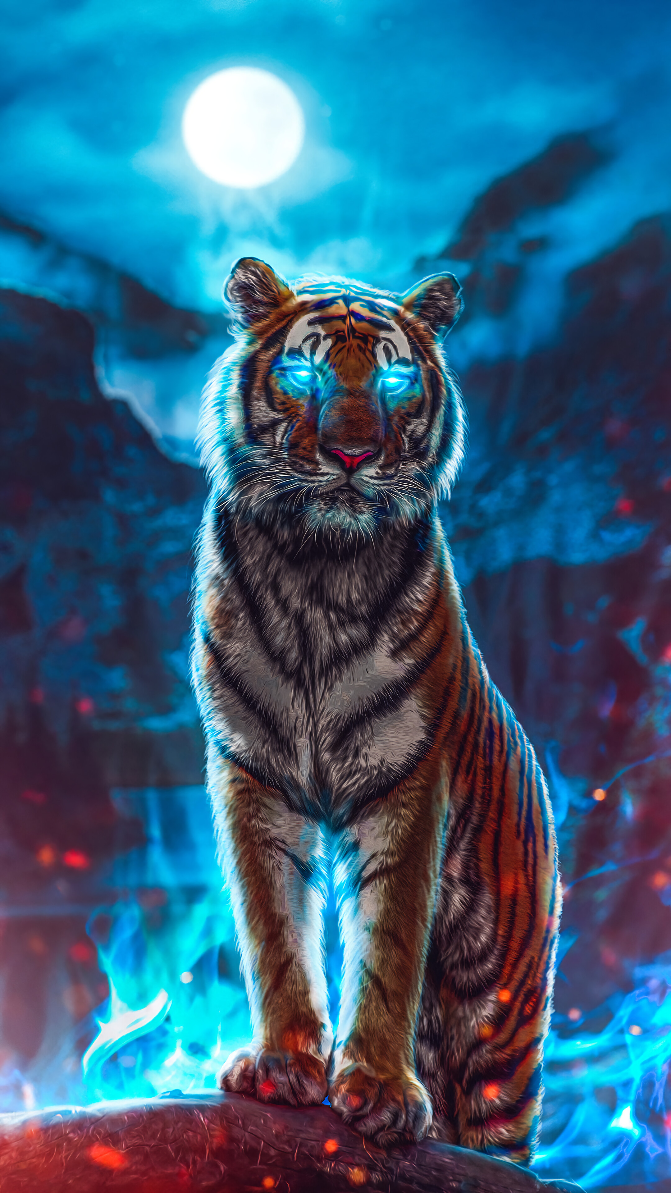 4K Tiger Wallpapers