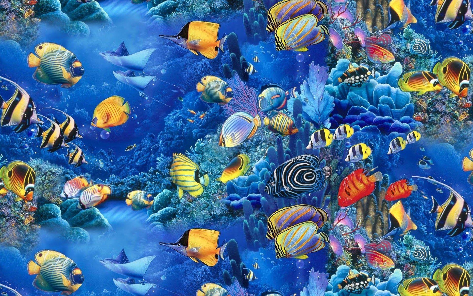 4K Ultra Hd Fish Wallpapers