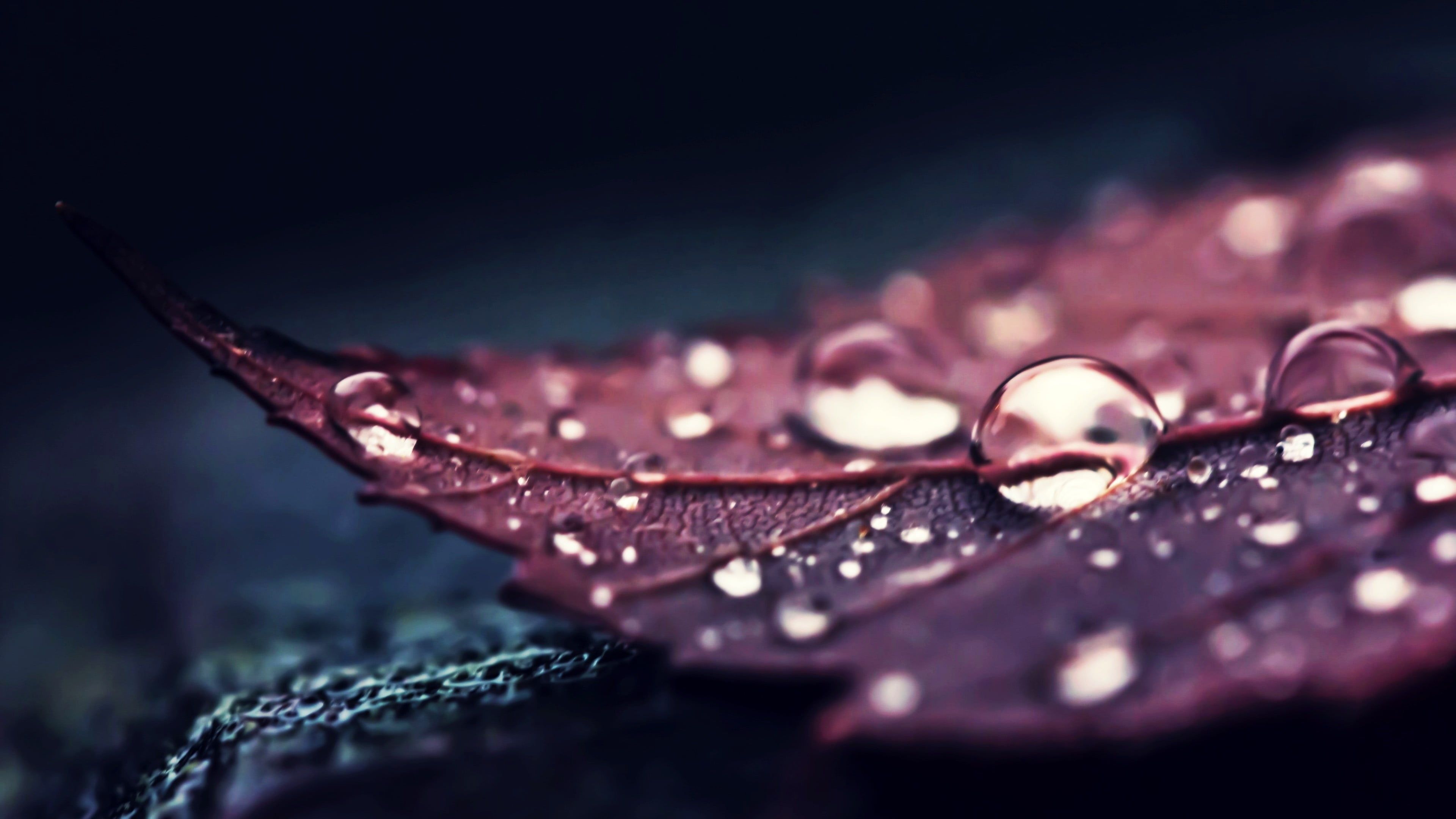 4K Water Drops Wallpapers