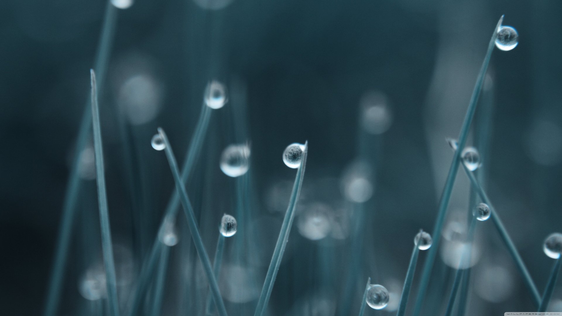 4K Water Drops Wallpapers