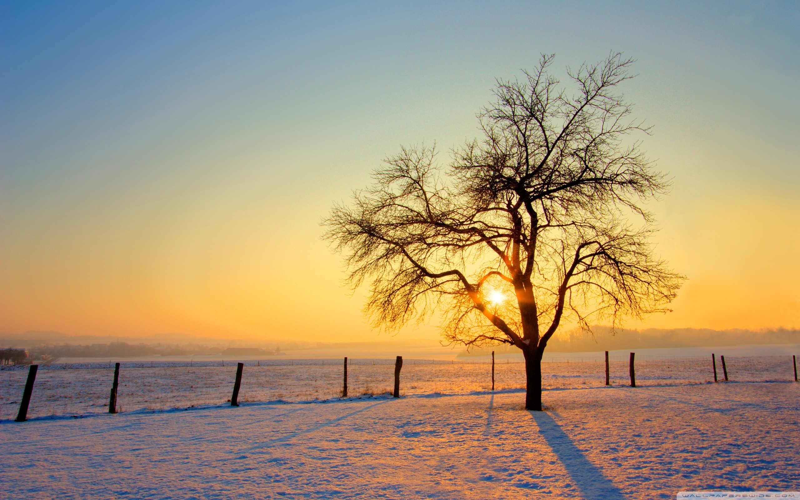 4K Winter Sunset Wallpapers