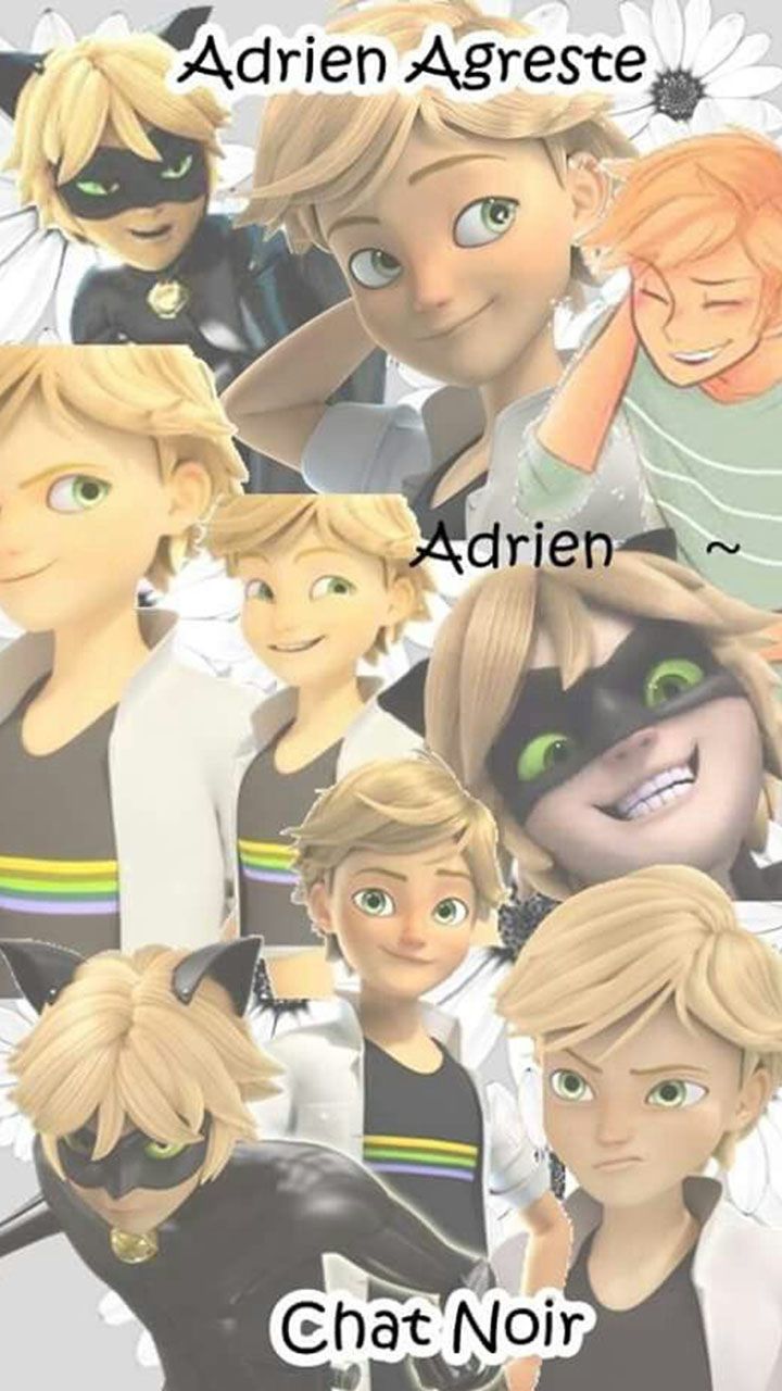 Adrien Agreste Wallpapers