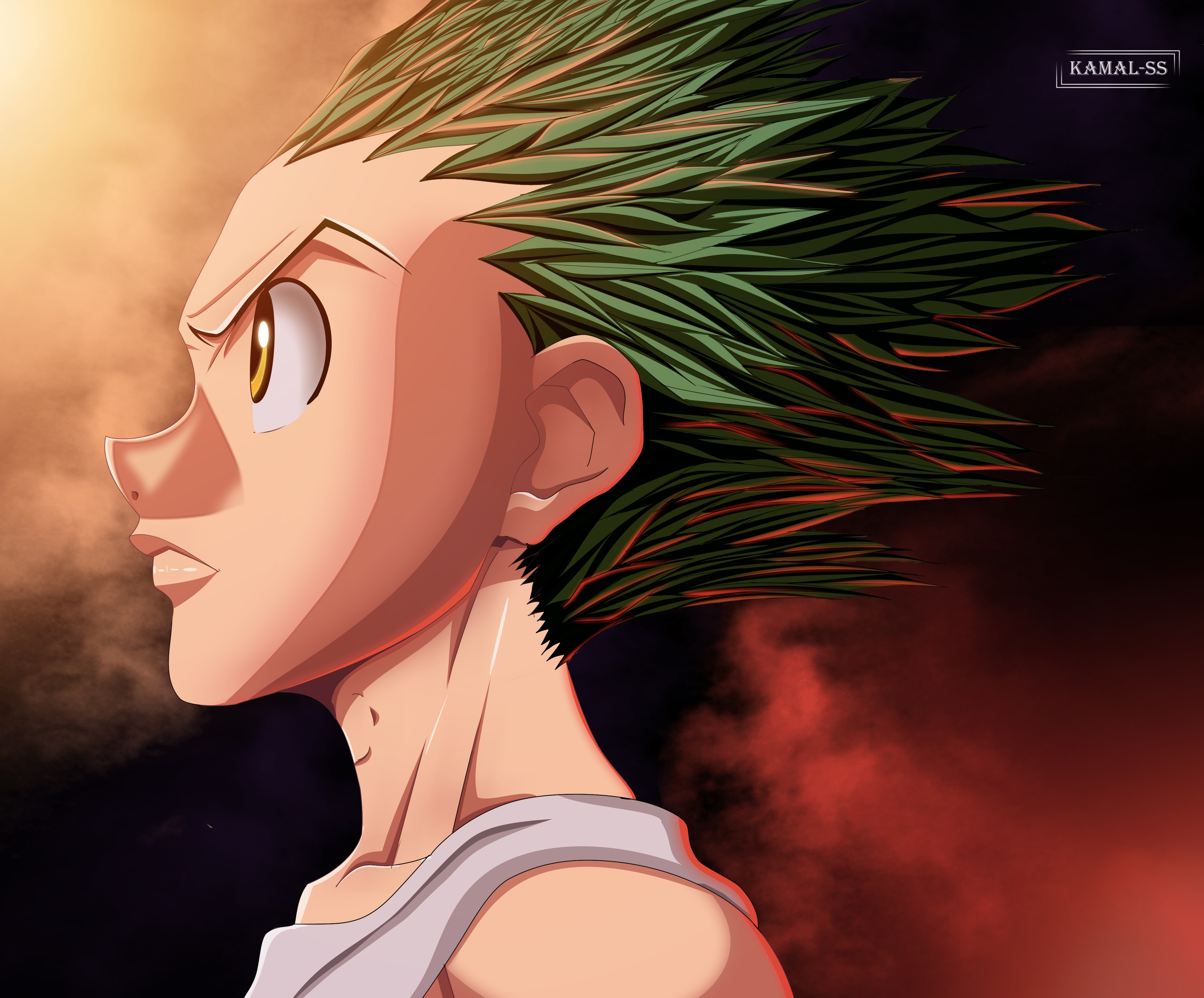 Adult Gon Wallpapers