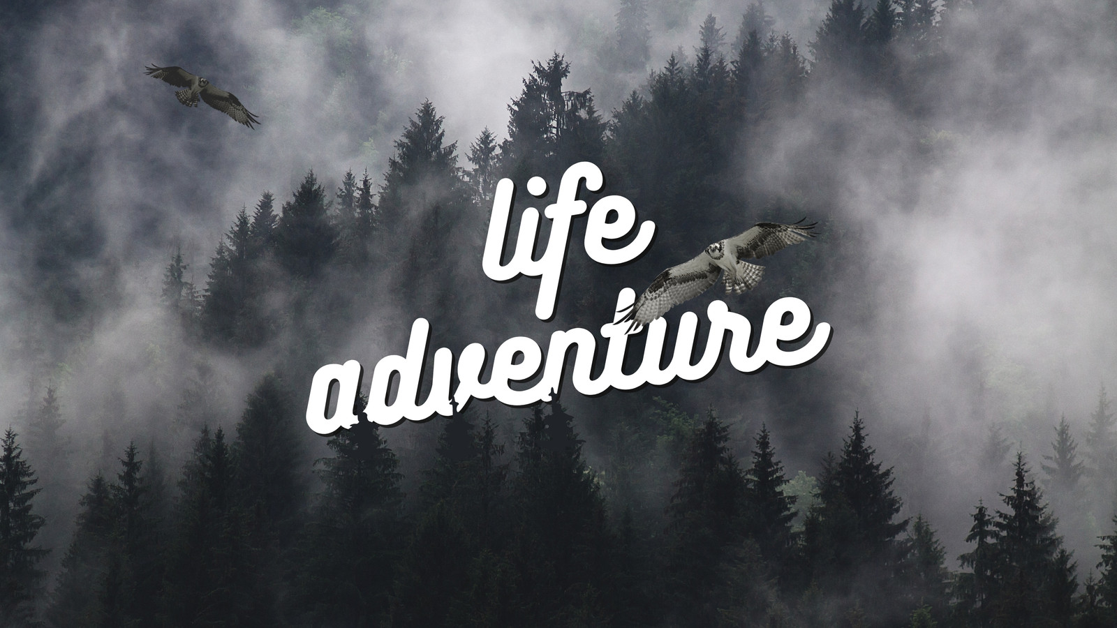 Adventure Is Out There Wallpapers