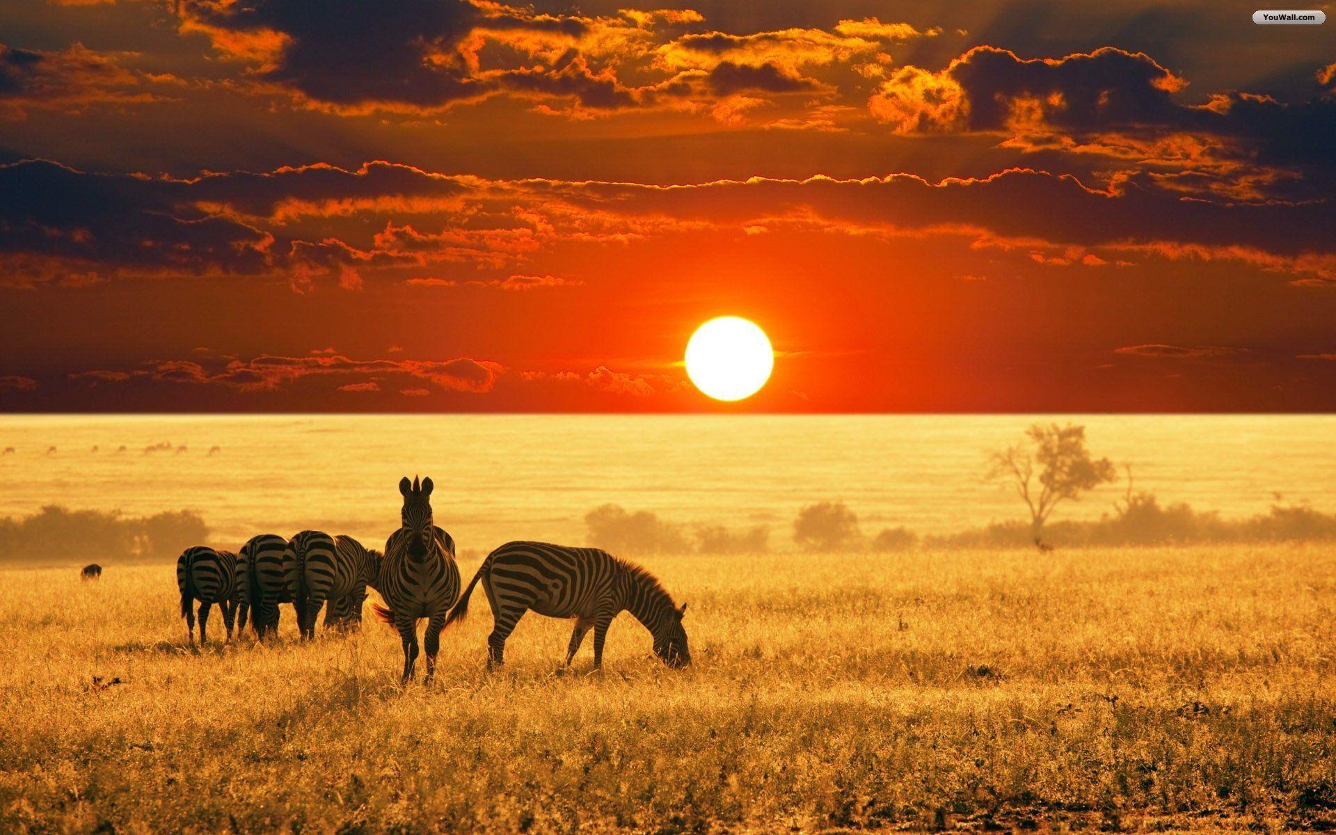 African Screen Savers Wallpapers