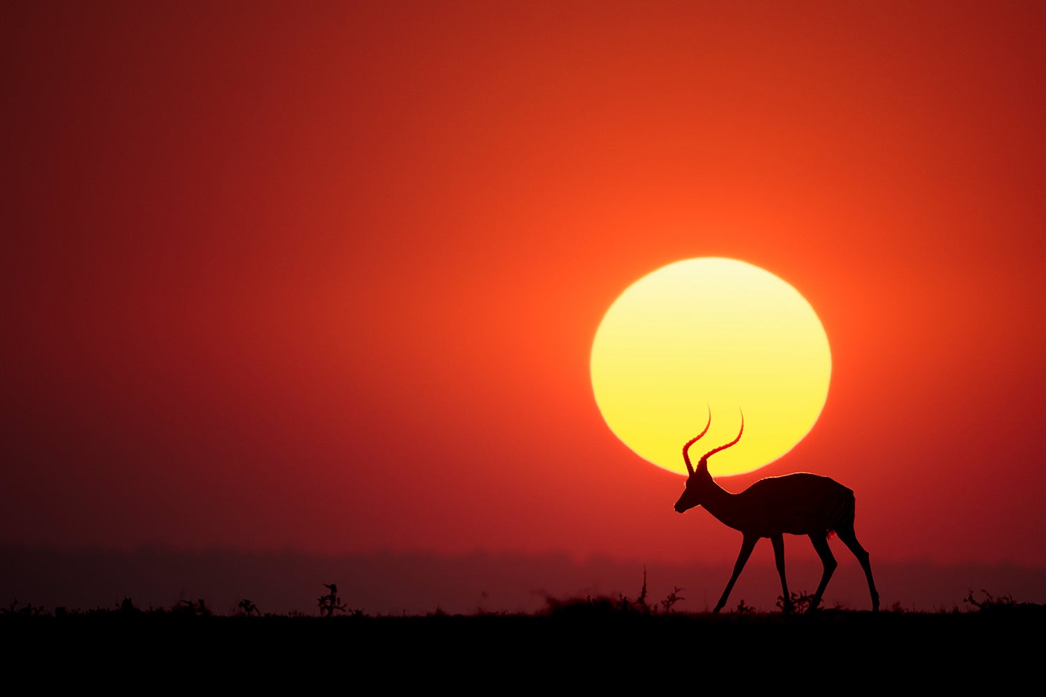 African Sunset Wallpapers