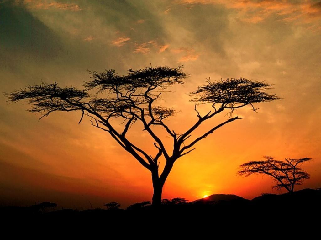 African Sunset Wallpapers