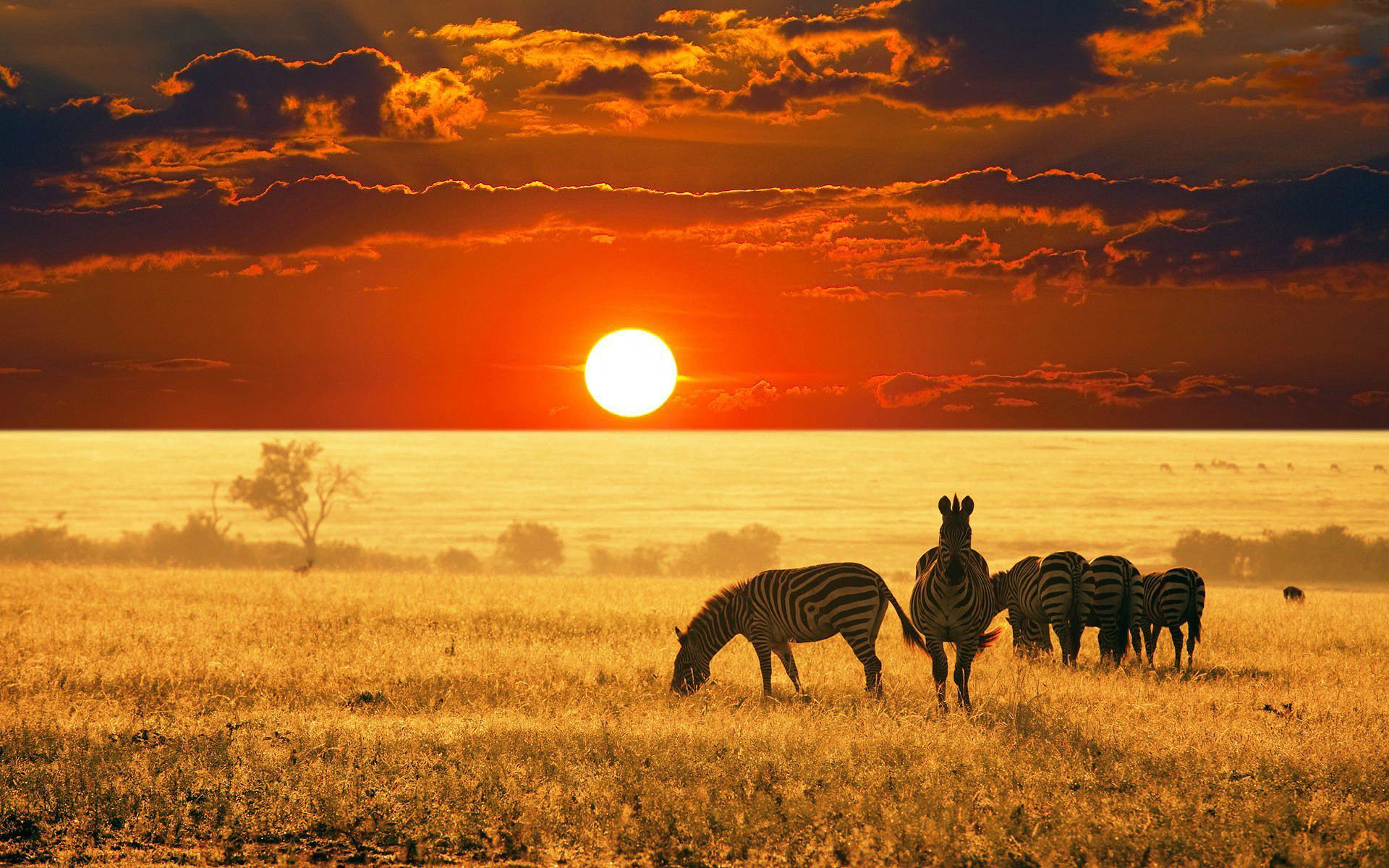 African Sunset Wallpapers