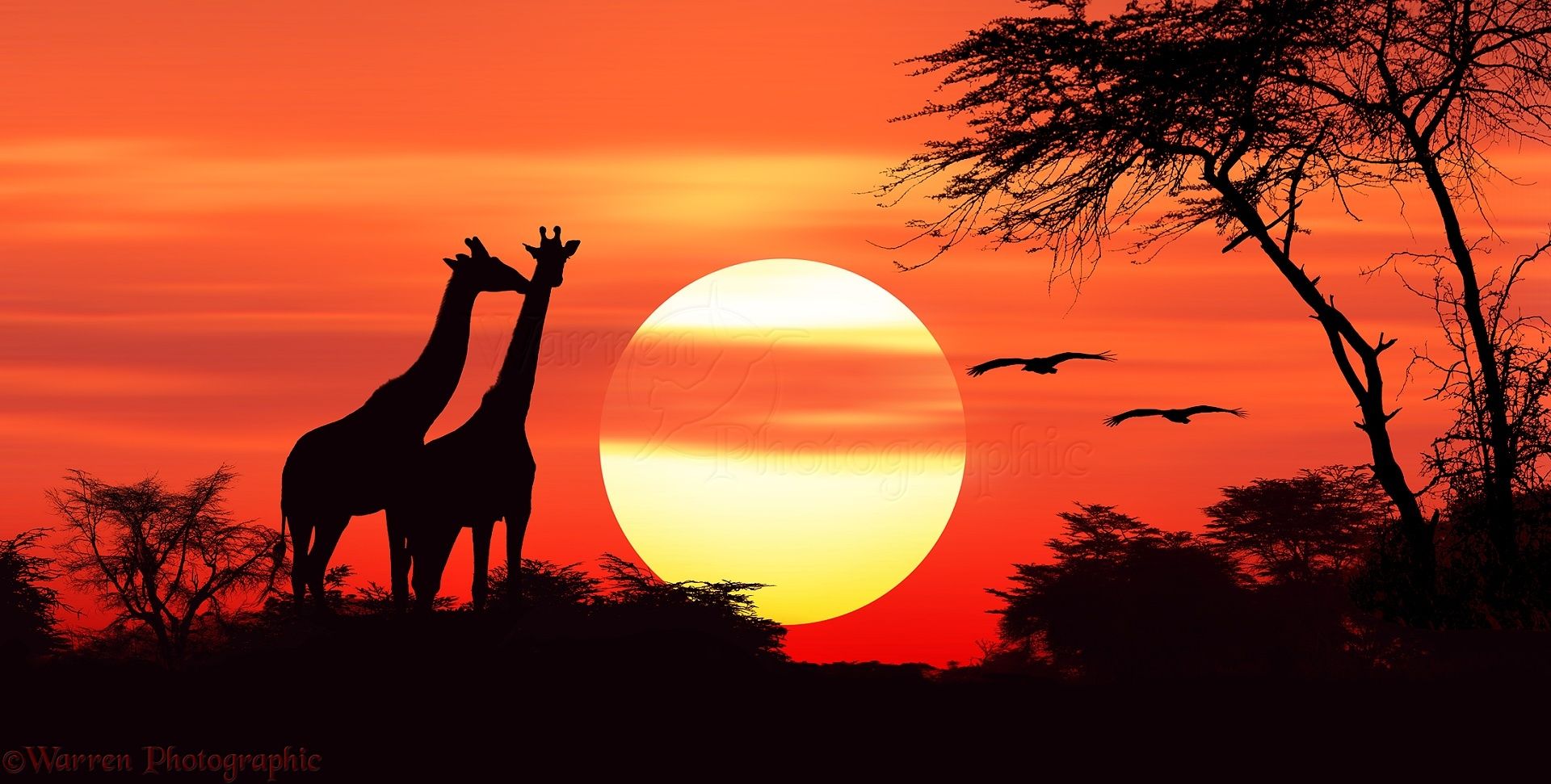 African Sunset Wallpapers