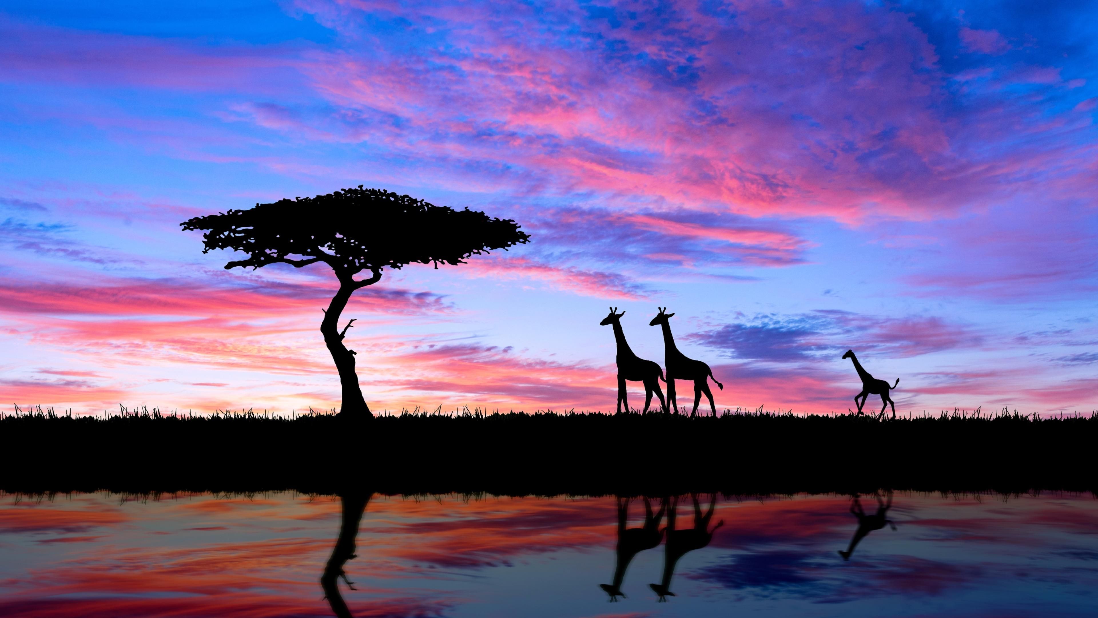 African Sunset Wallpapers