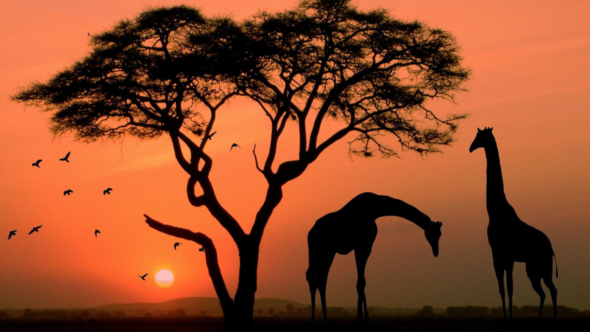 African Sunset Wallpapers