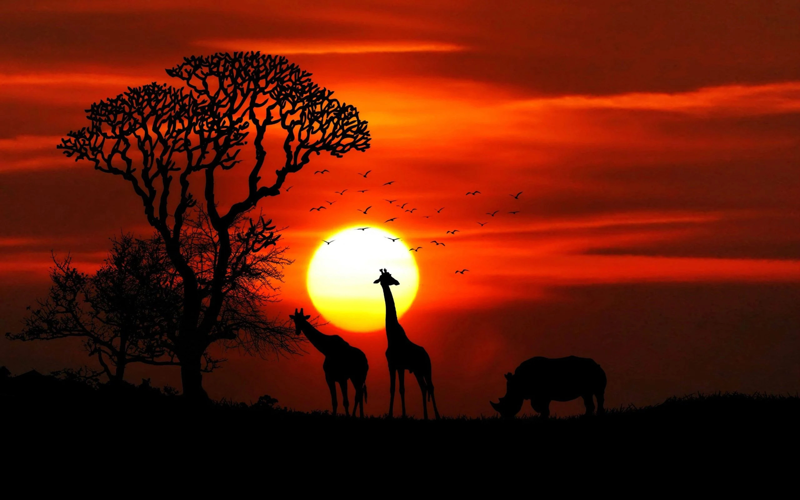 African Wallpapers