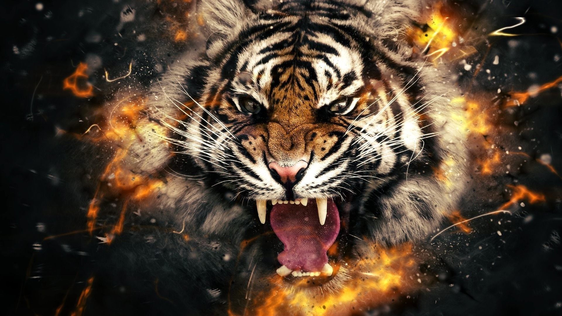 Aggressive Tiger Wallpapers