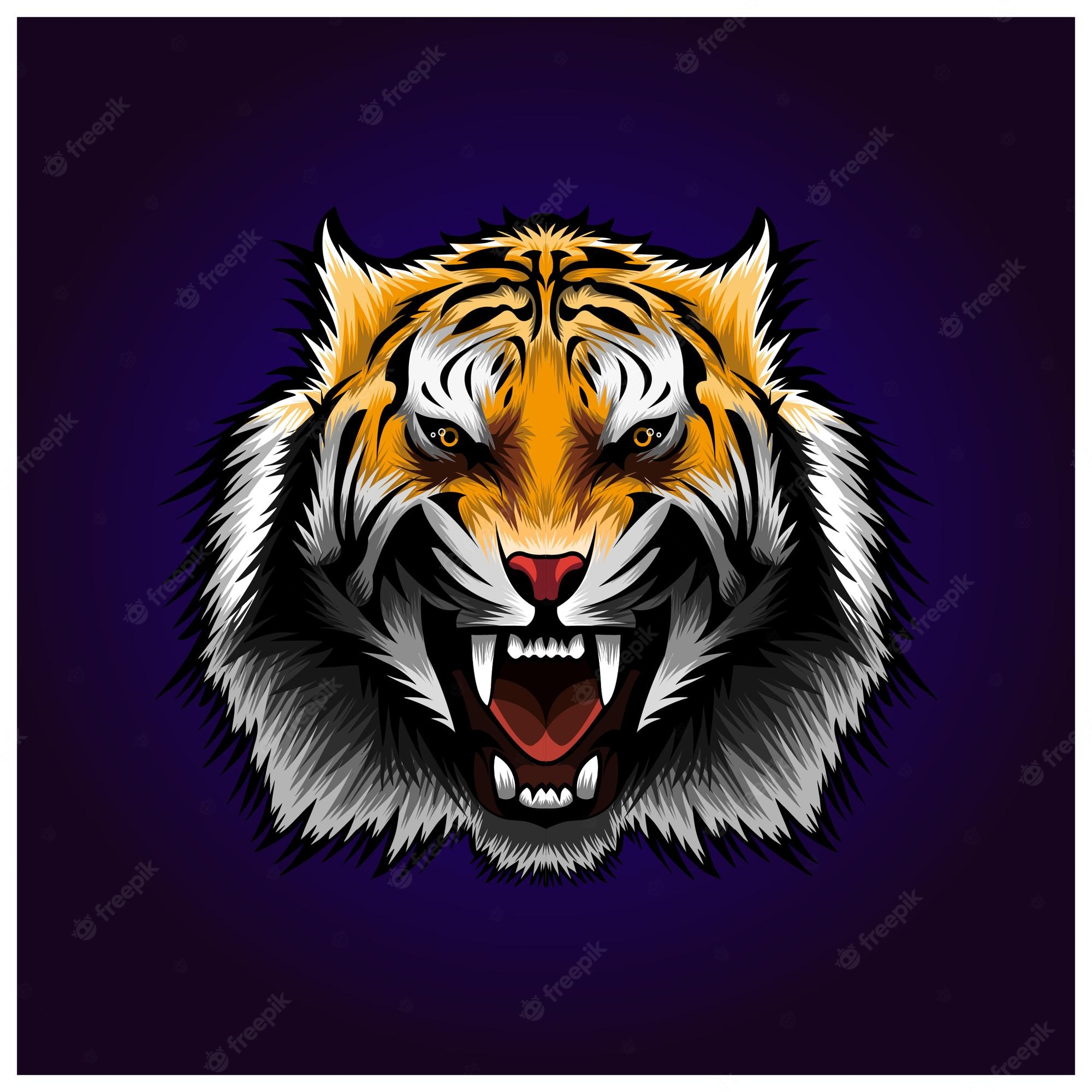 Aggressive Tiger Wallpapers