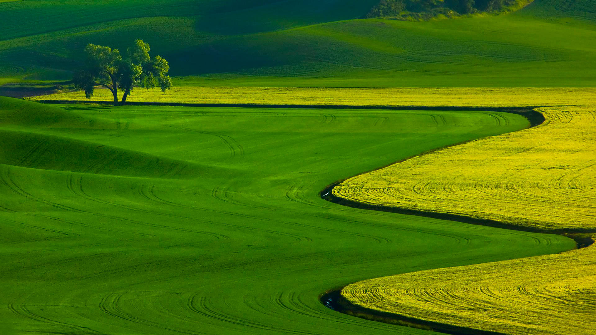 Agriculture Wallpapers