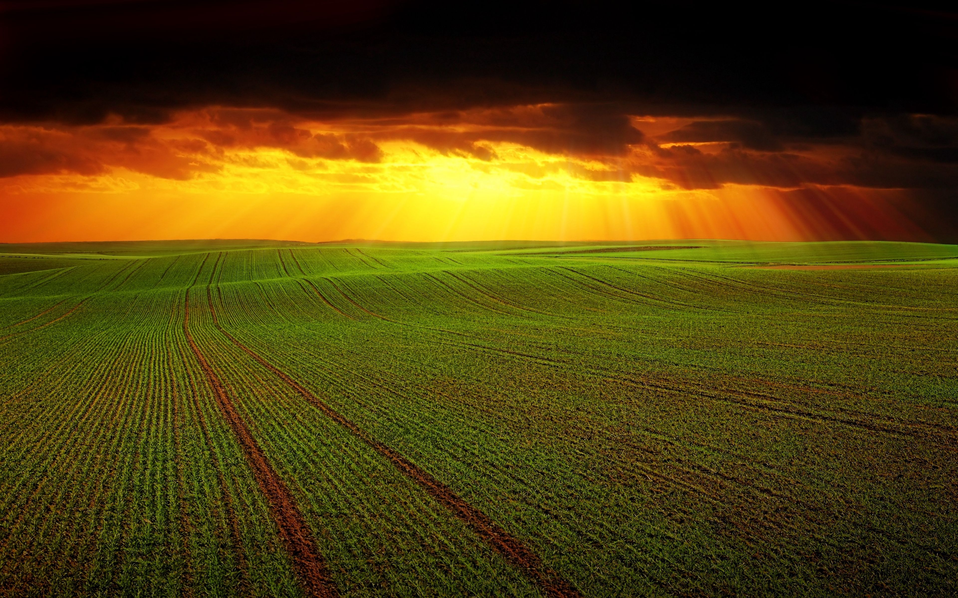 Agriculture Wallpapers