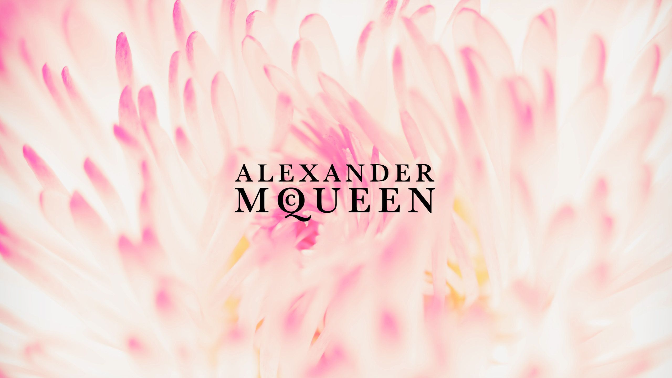 Alexander Mcqueen Wallpapers