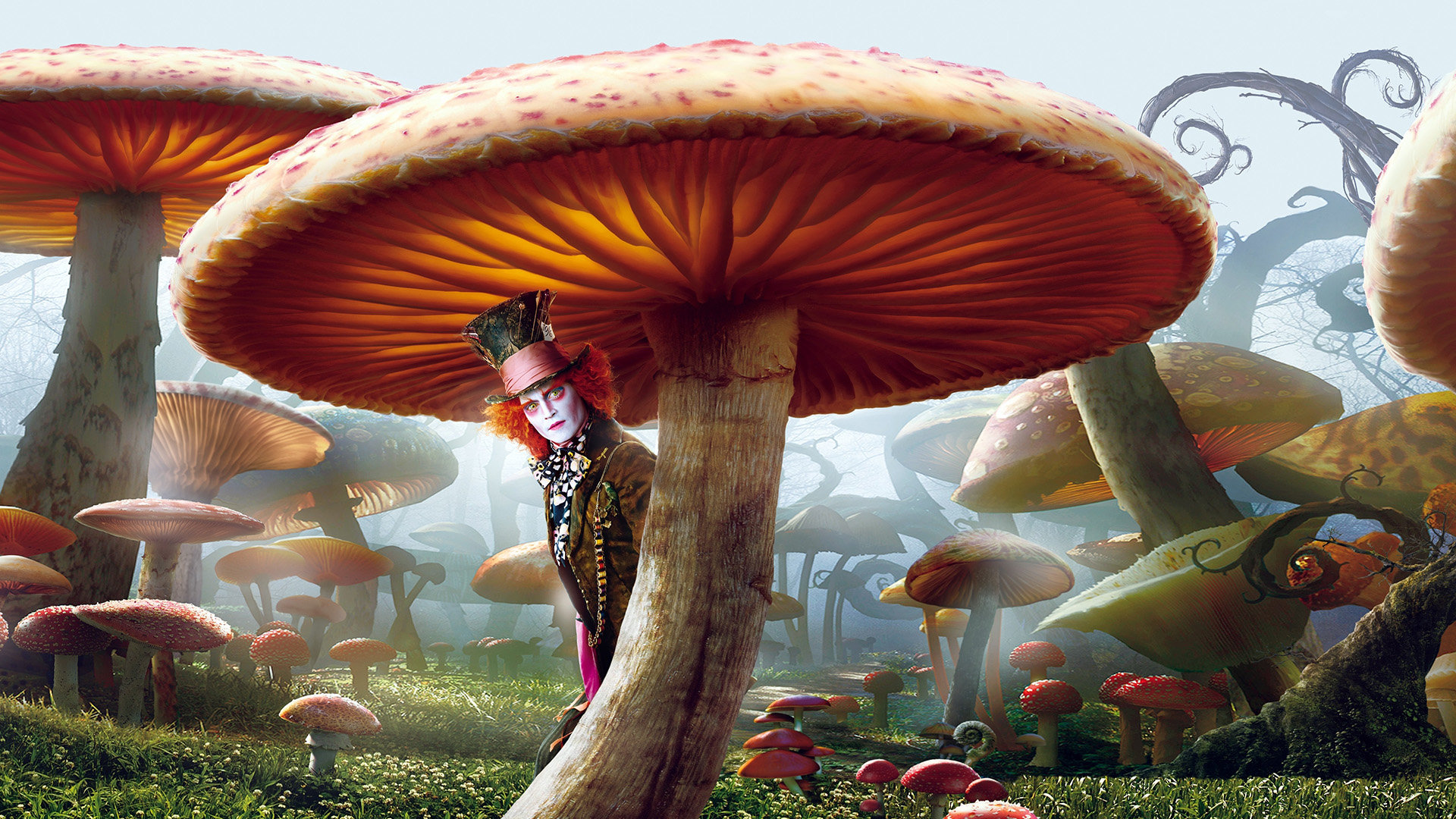 Alice In Wonderland 1920X1080 Wallpapers