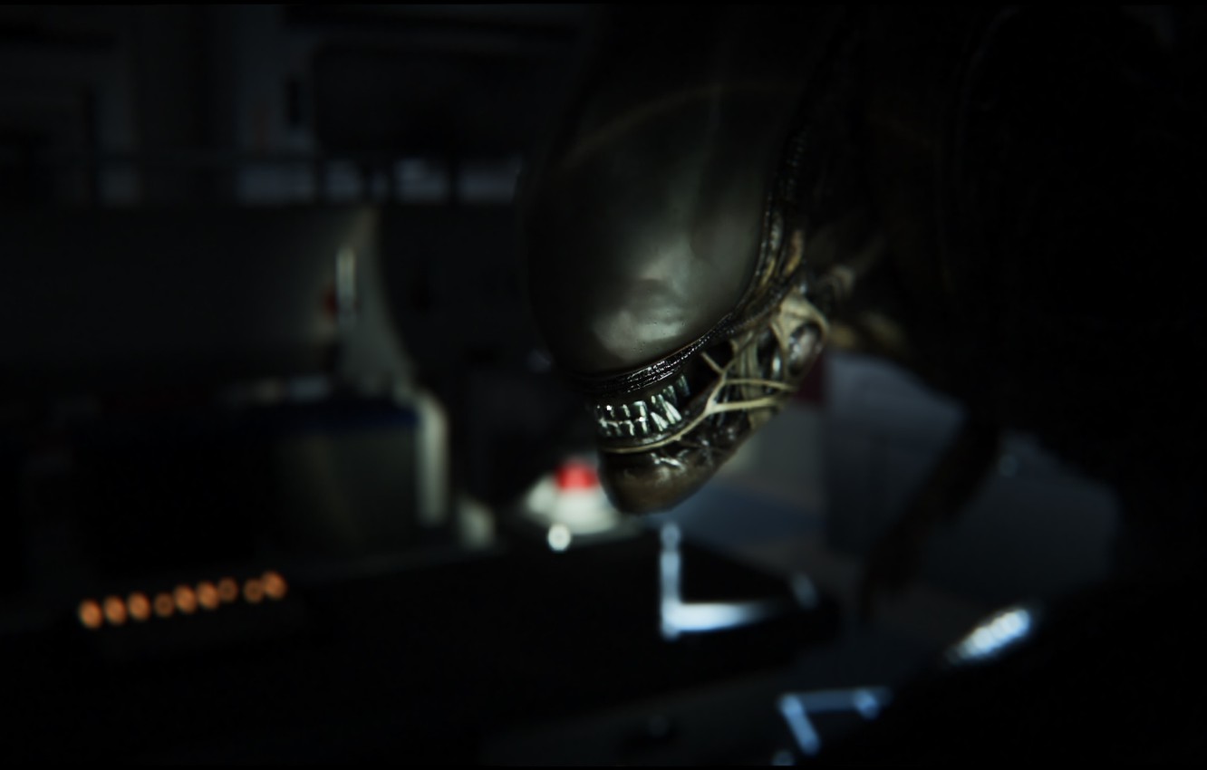 Alien 1979 Wallpapers