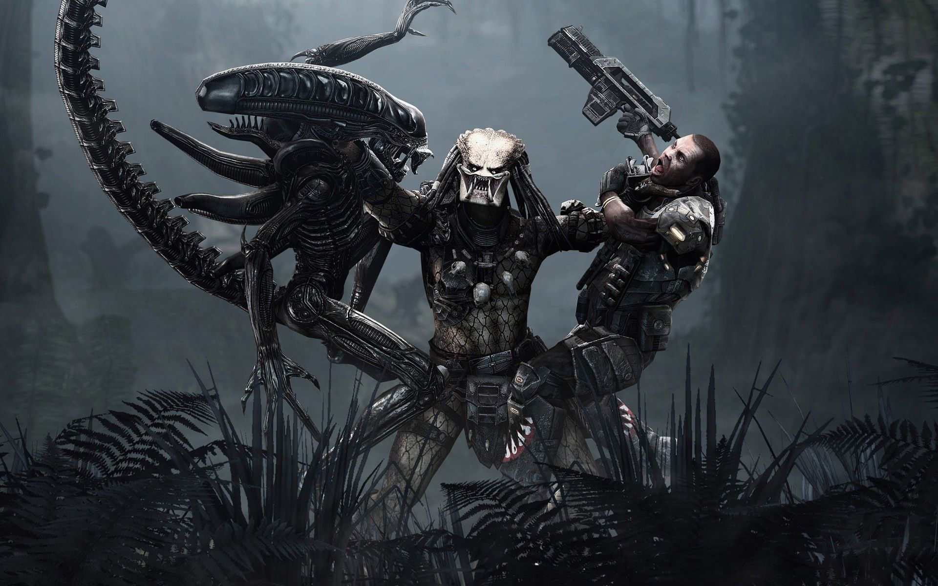 Alien Vs.Predator Wallpapers