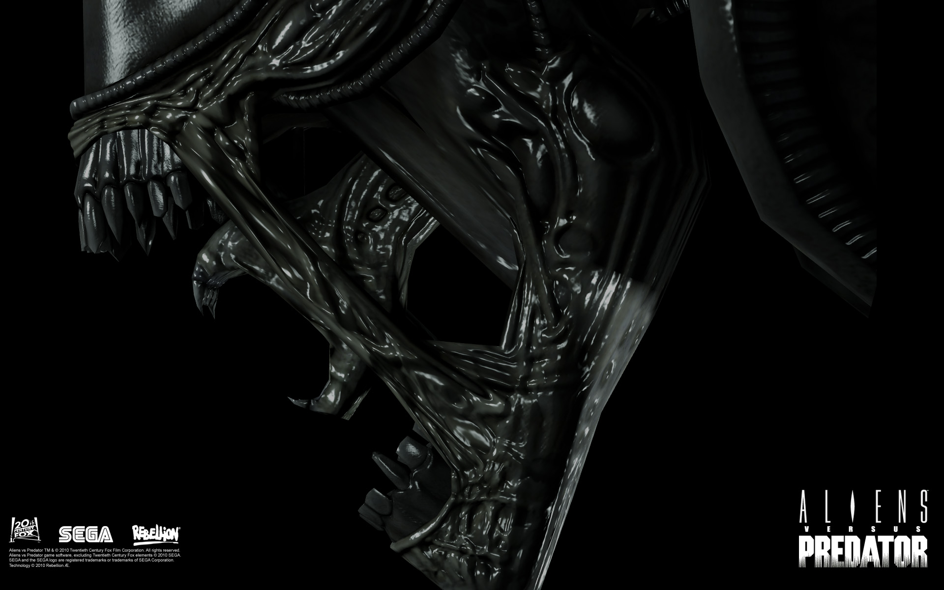 Alien Vs.Predator Wallpapers