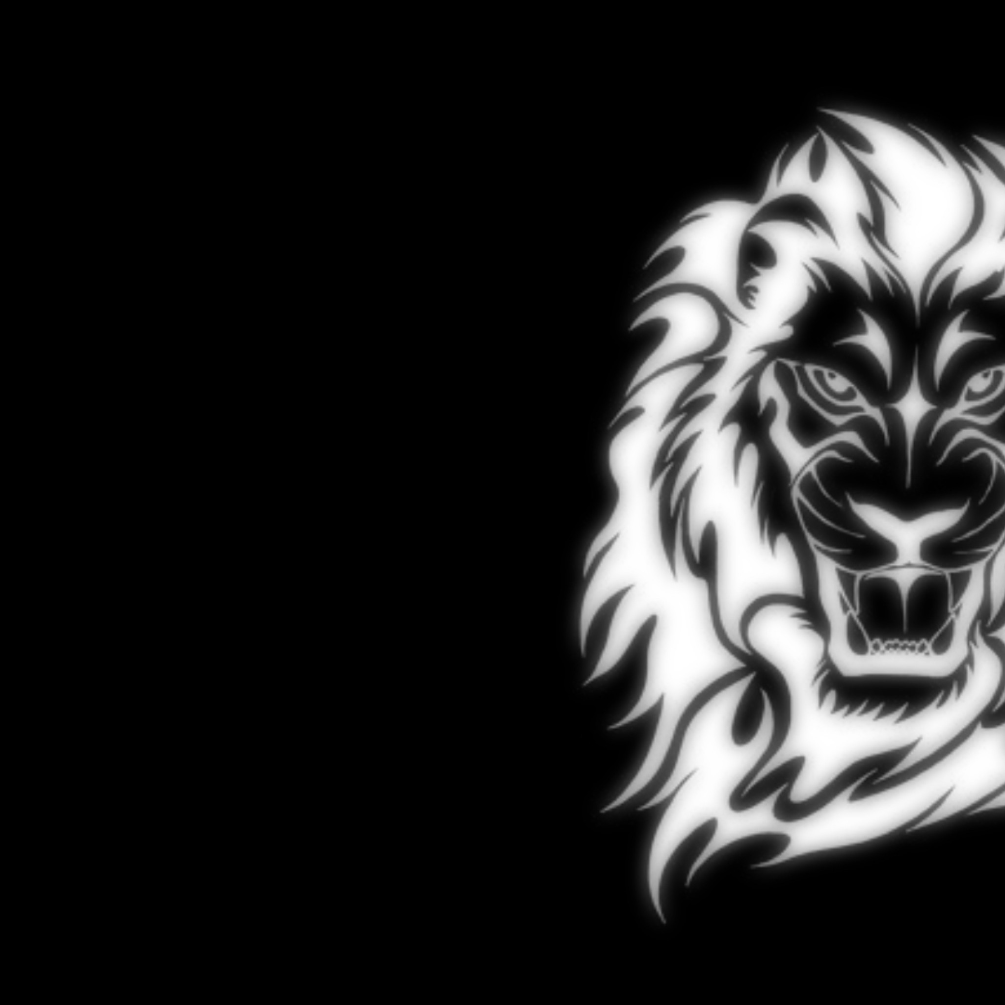 Amazing Lion Wallpapers