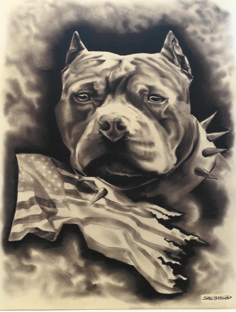 American Bully Wallpapers