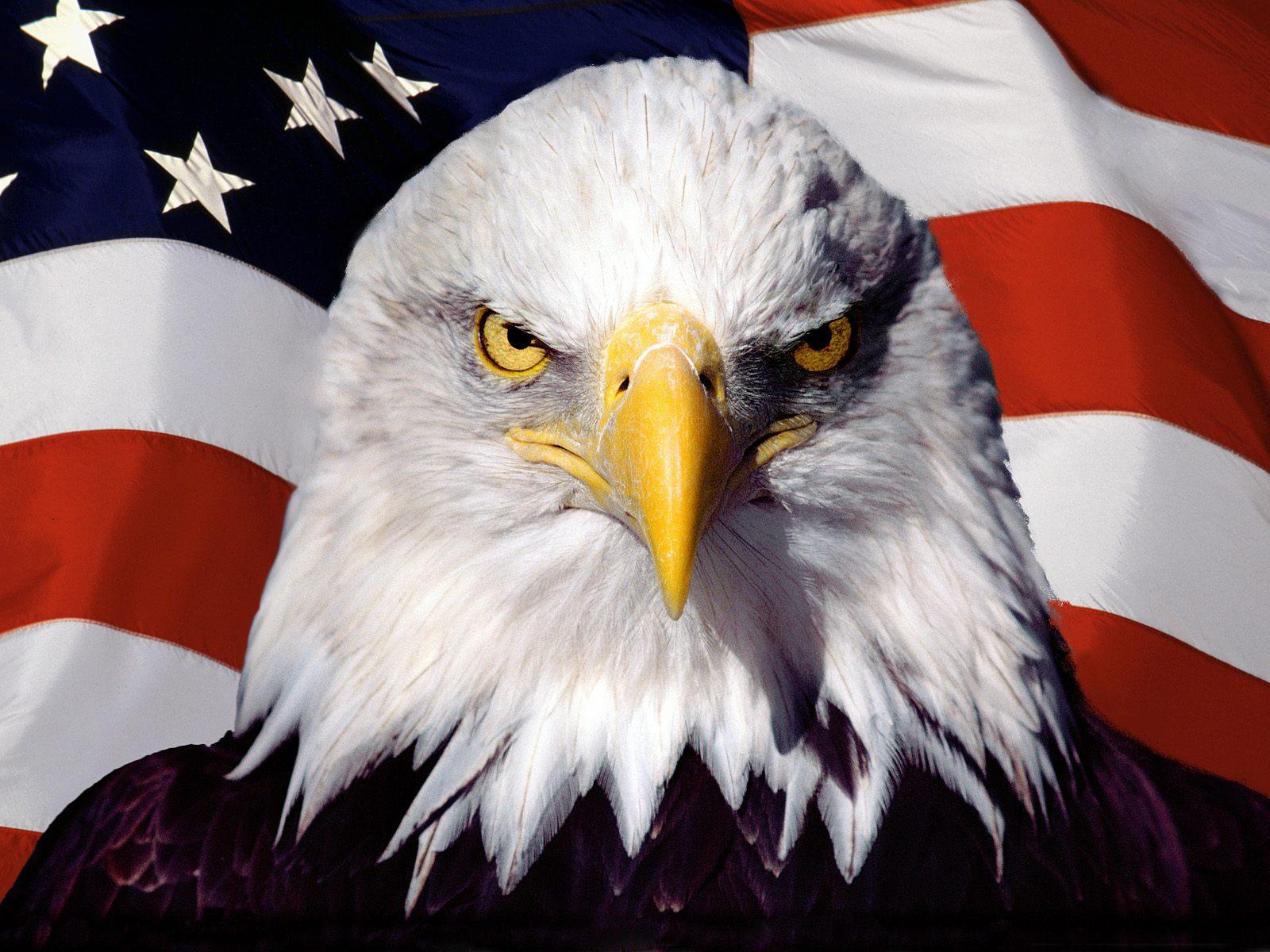 American Eagle Flag Wallpapers