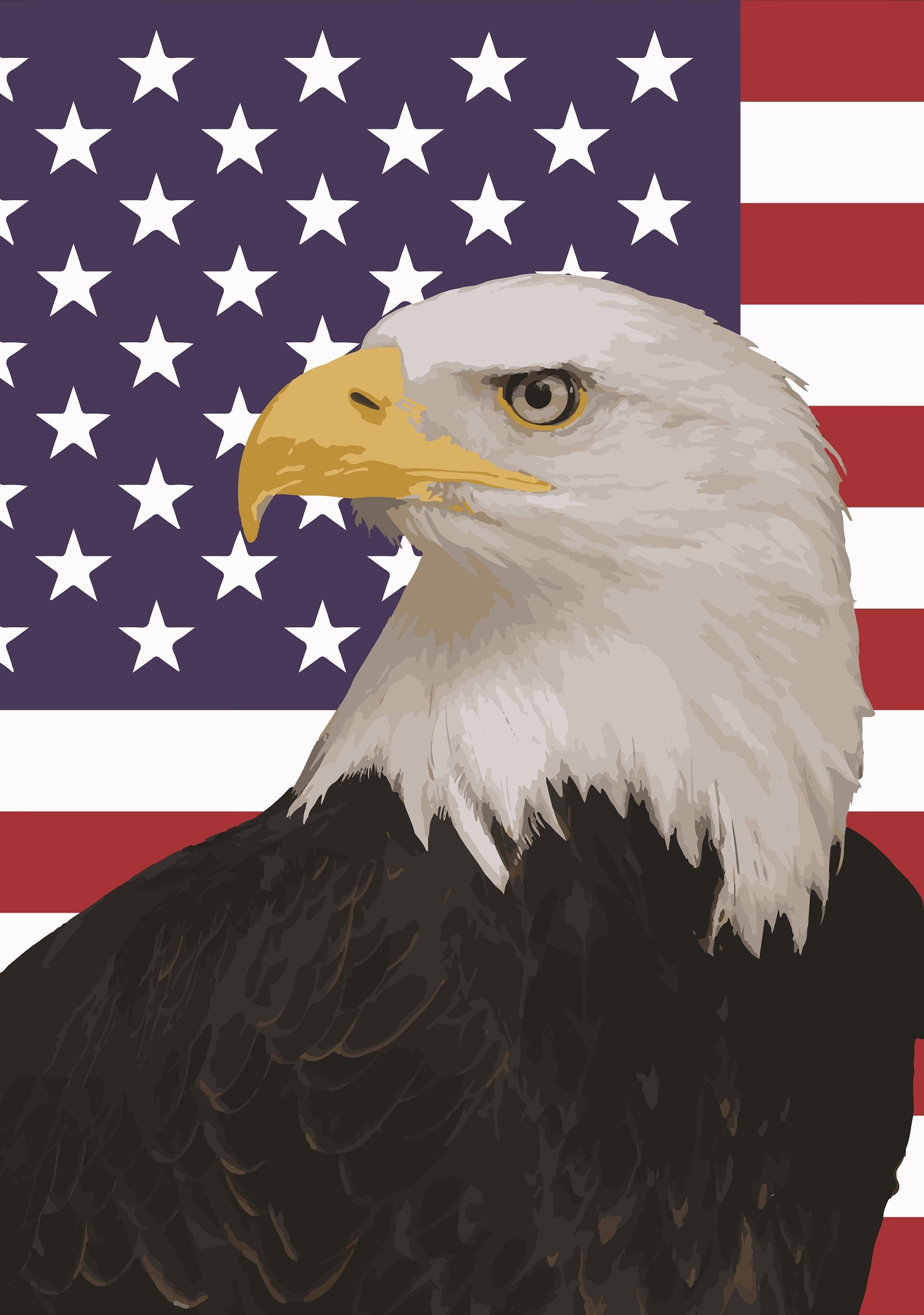 American Eagle Flag Wallpapers