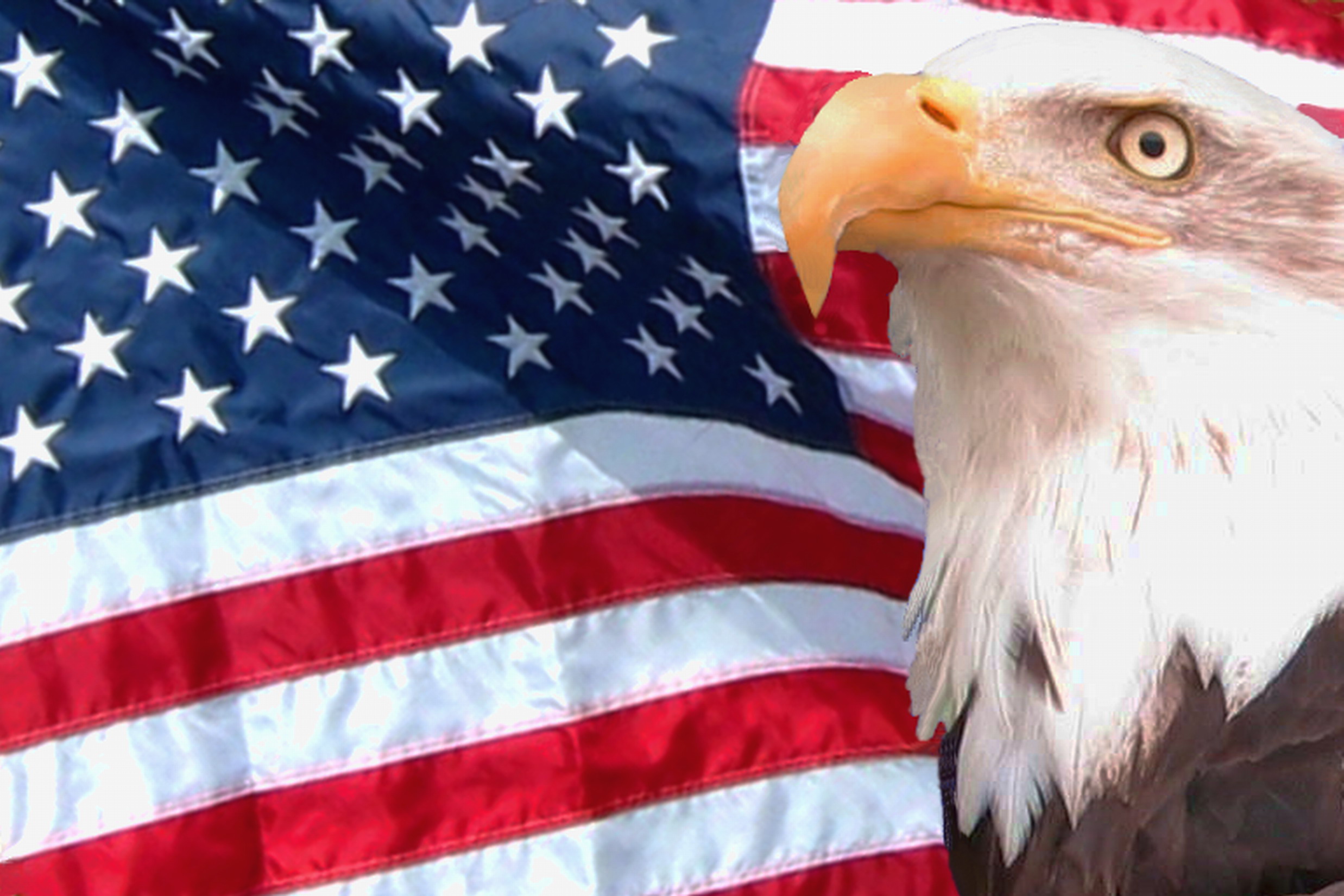 American Eagle Flag Wallpapers