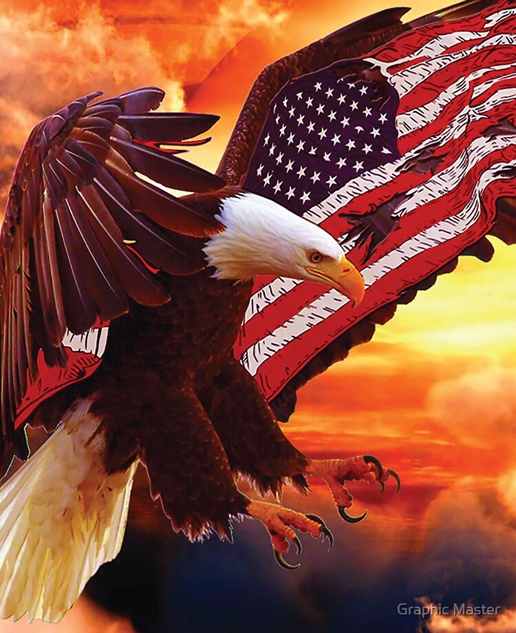 American Eagle Flag Wallpapers