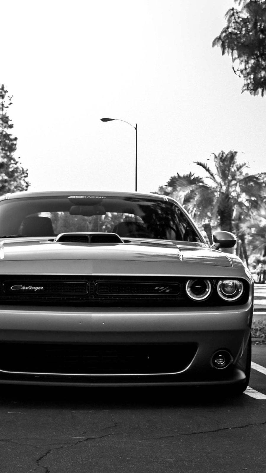 American Muscle Wallpapers