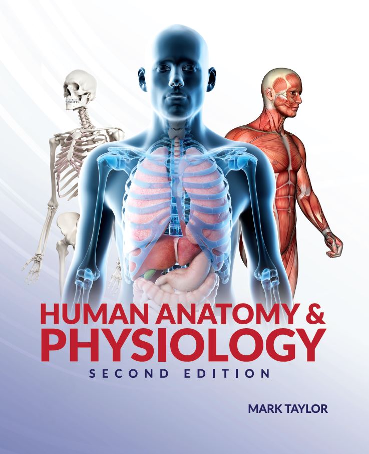 Anatomy And Physiology Wallpapers