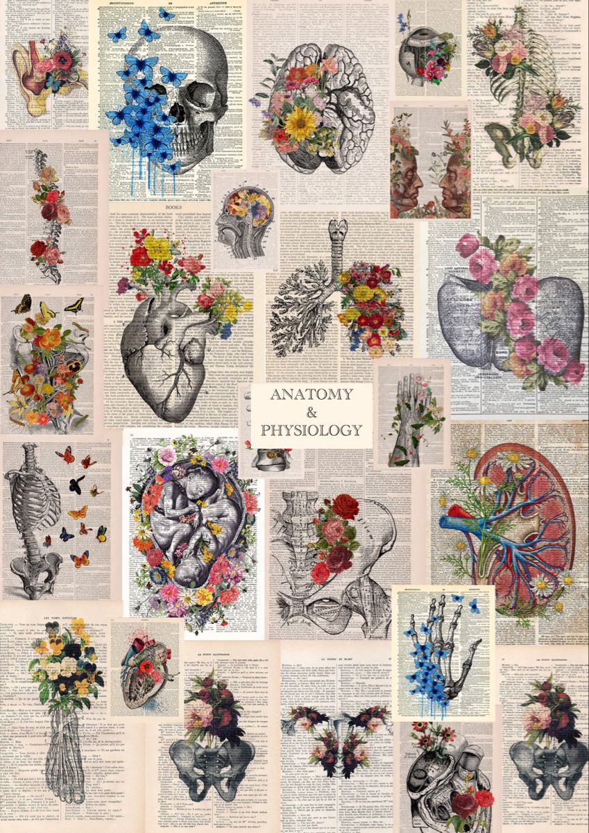 Anatomy And Physiology Wallpapers