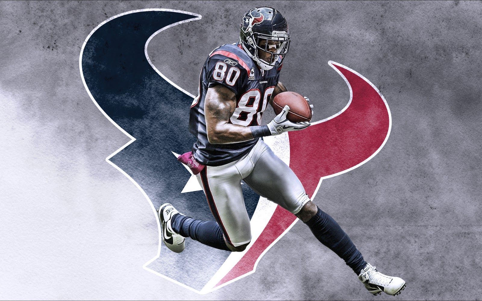 Andre Johnson Wallpapers