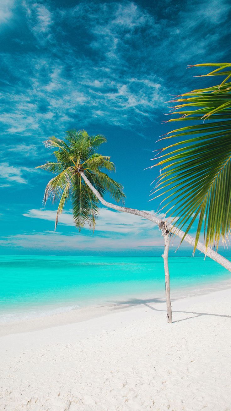 Android Beach Wallpapers