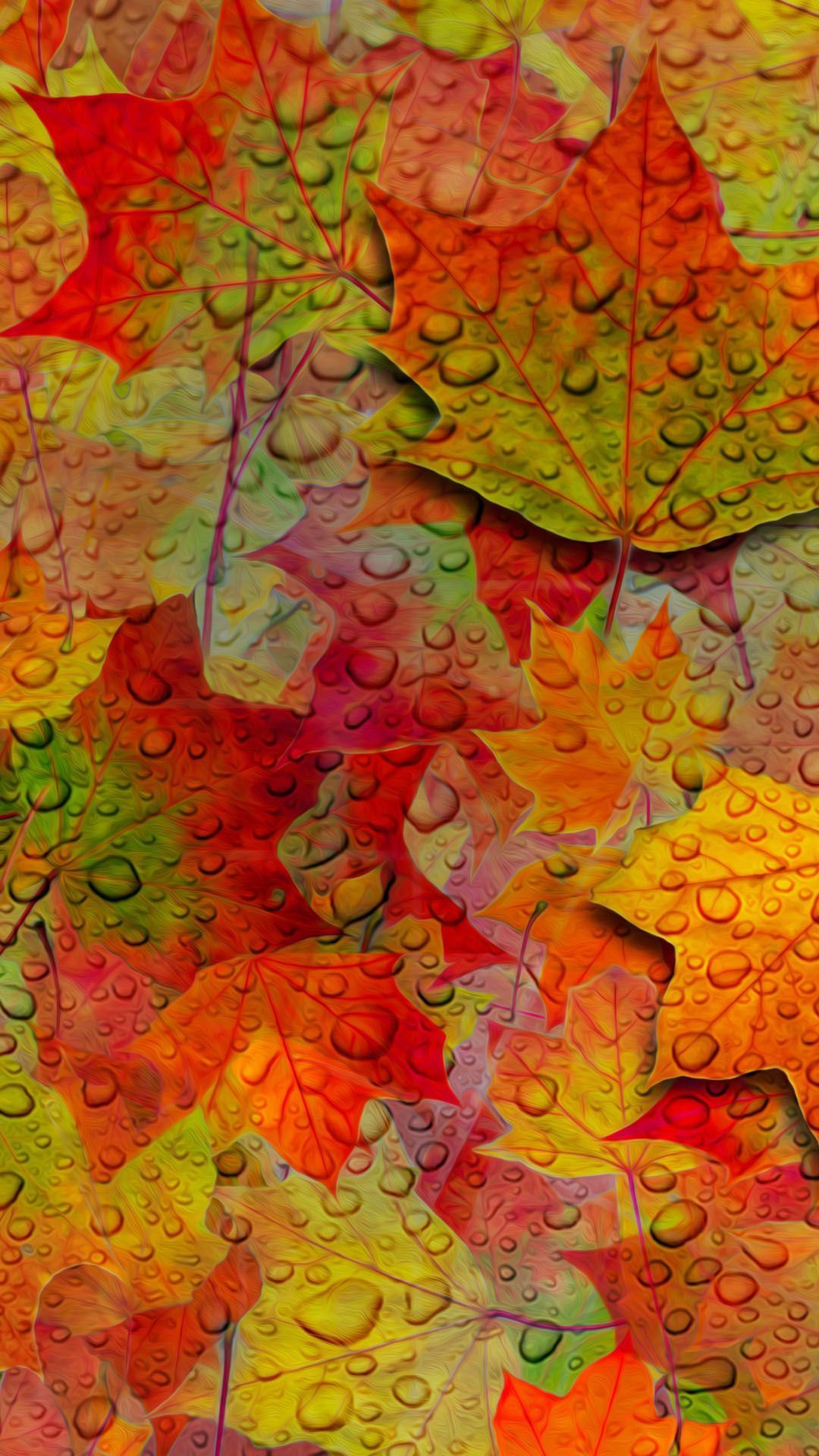 Android Fall Wallpapers