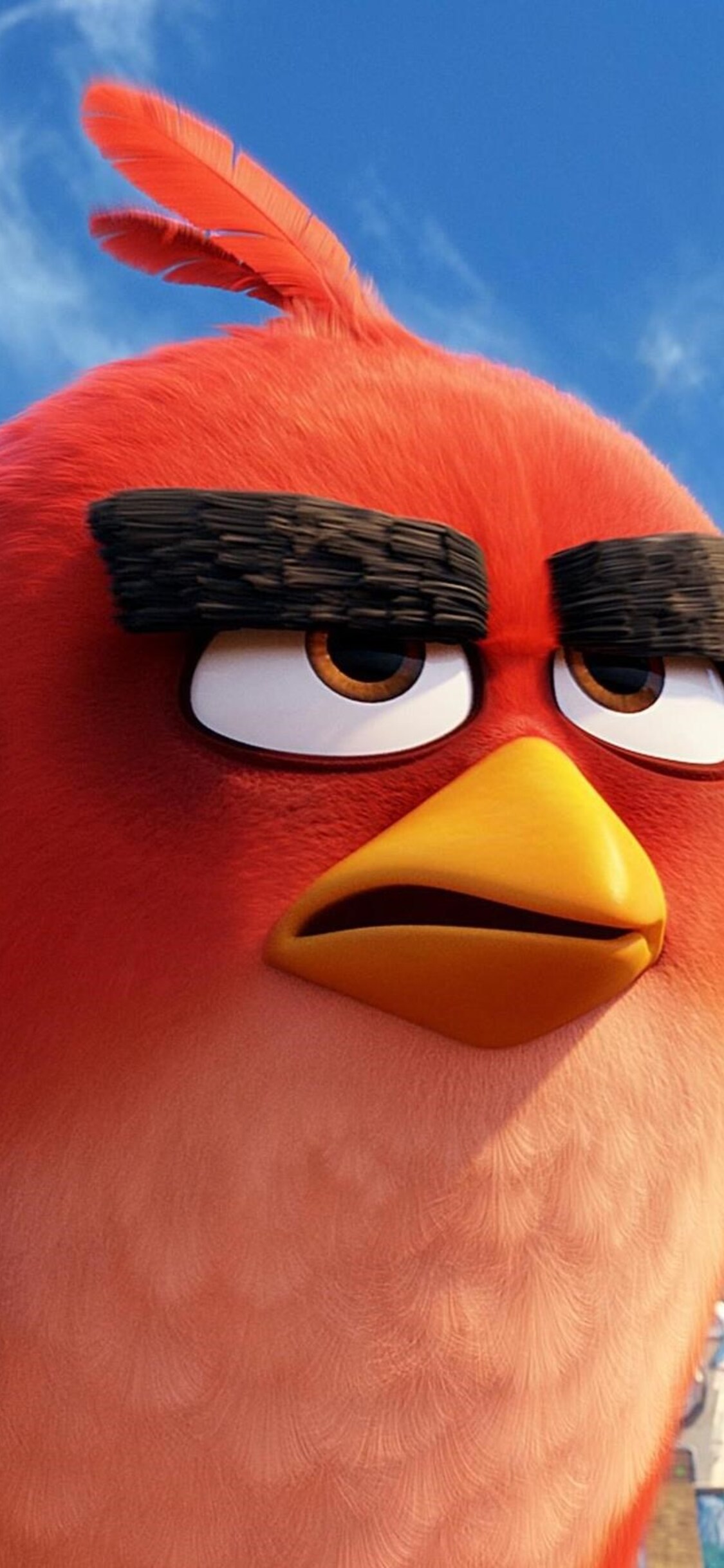 Angry Birds Iphone Wallpapers