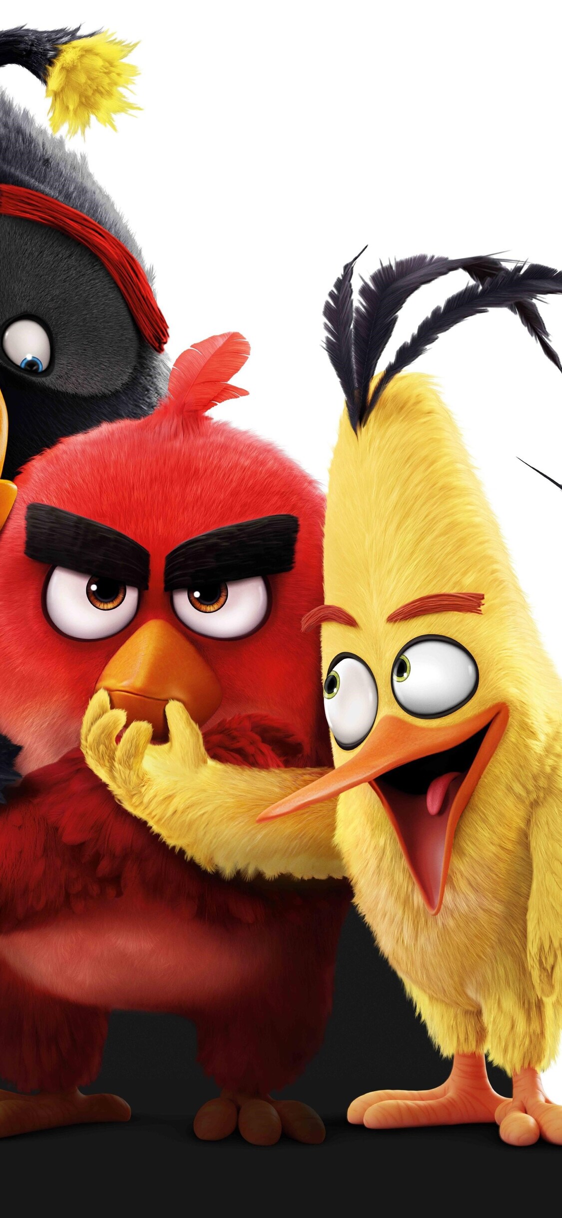 Angry Birds Iphone Wallpapers