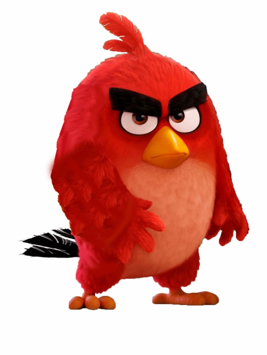 Angry Birds Iphone Wallpapers