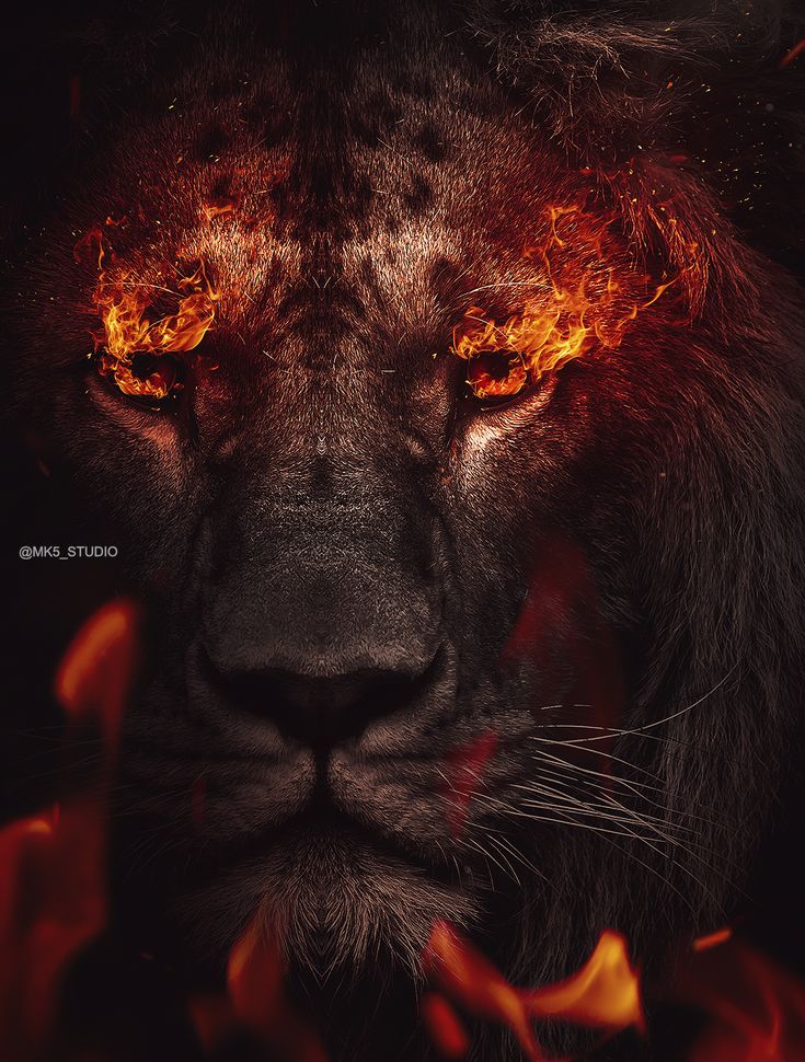 Angry Lion Art Wallpapers